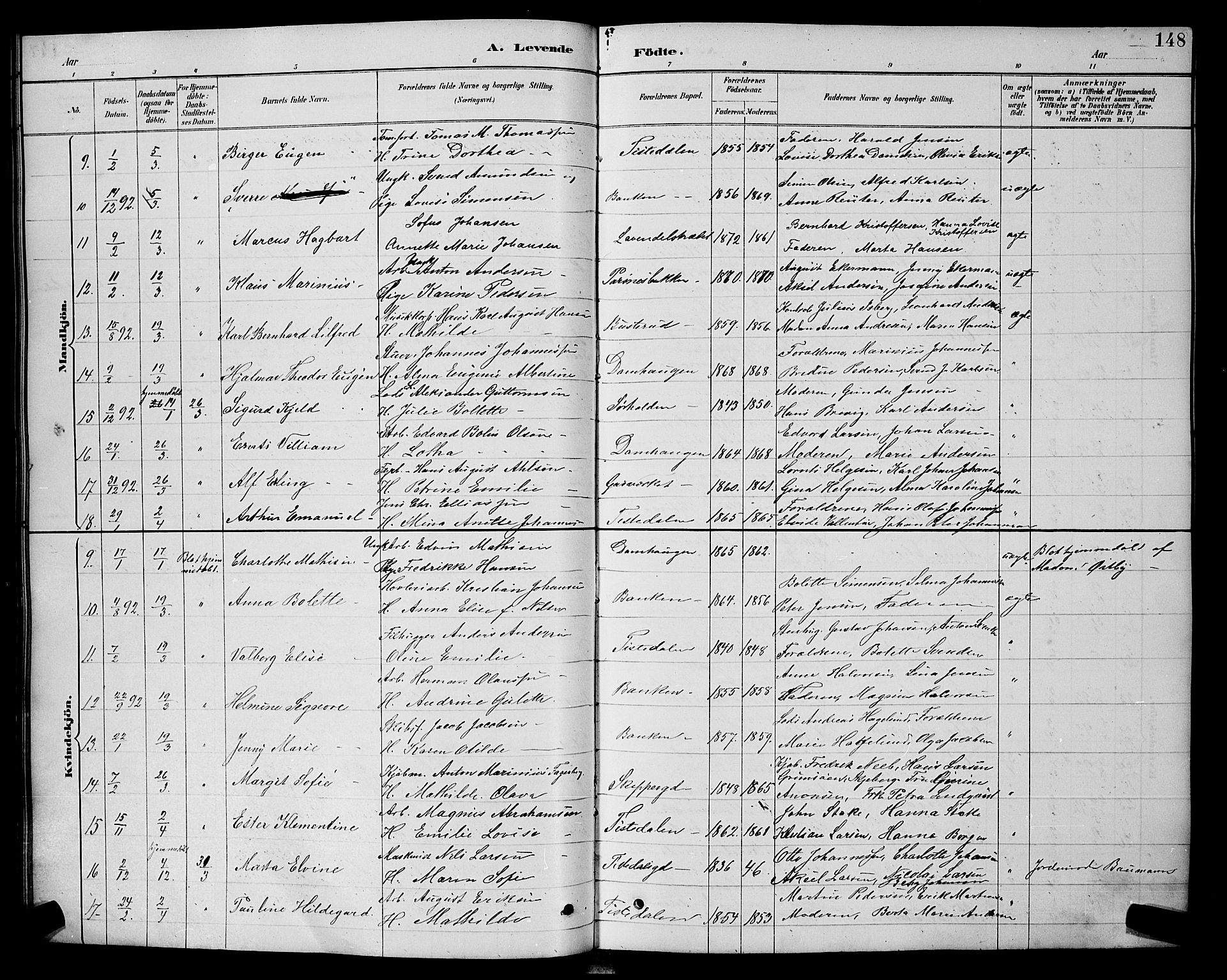 Halden prestekontor Kirkebøker, AV/SAO-A-10909/G/Ga/L0008: Parish register (copy) no. 8, 1885-1899, p. 148