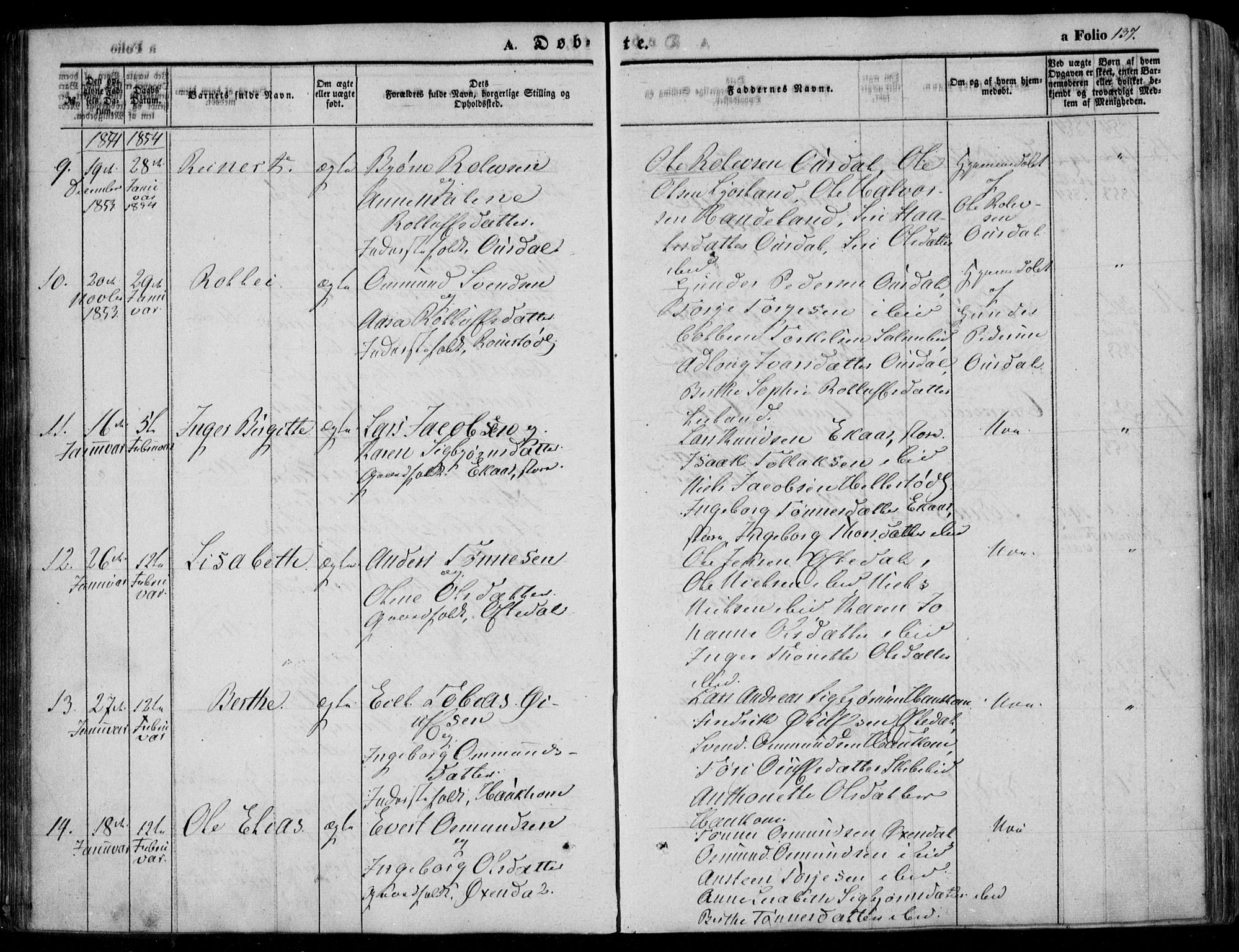 Bakke sokneprestkontor, AV/SAK-1111-0002/F/Fa/Faa/L0005: Parish register (official) no. A 5, 1847-1855, p. 137