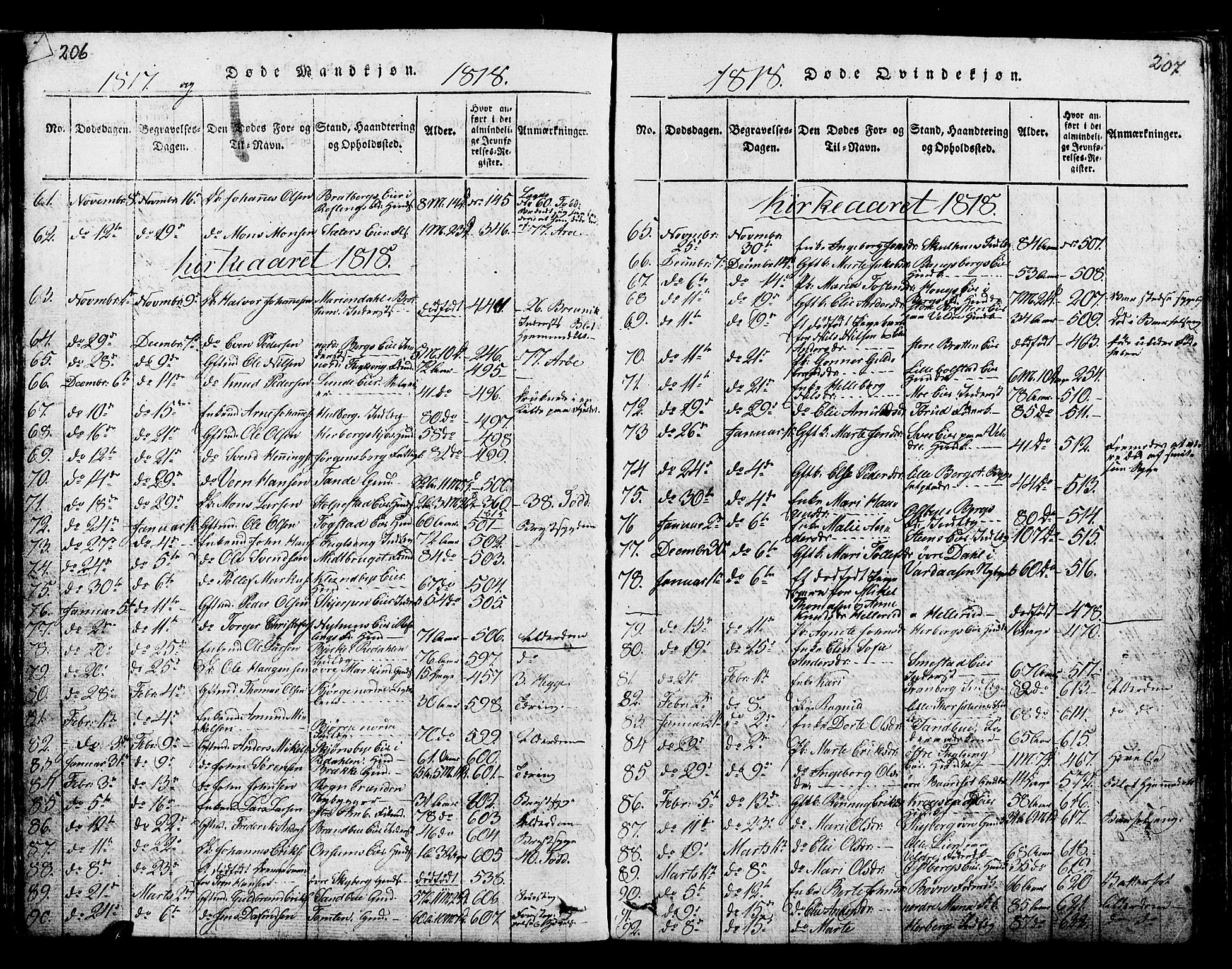 Ringsaker prestekontor, AV/SAH-PREST-014/K/Ka/L0005: Parish register (official) no. 5, 1814-1826, p. 206-207