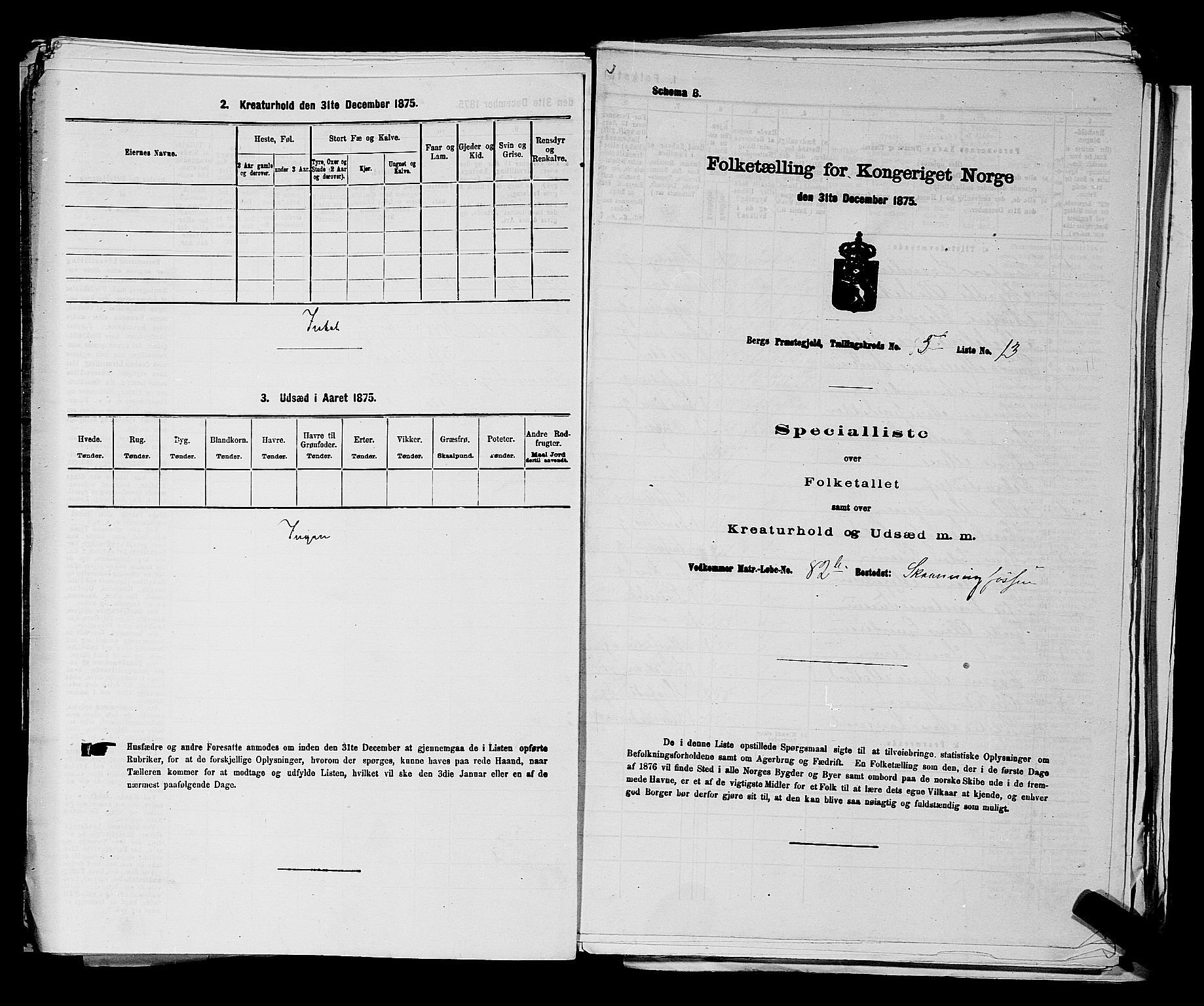 RA, 1875 census for 0116P Berg, 1875, p. 711