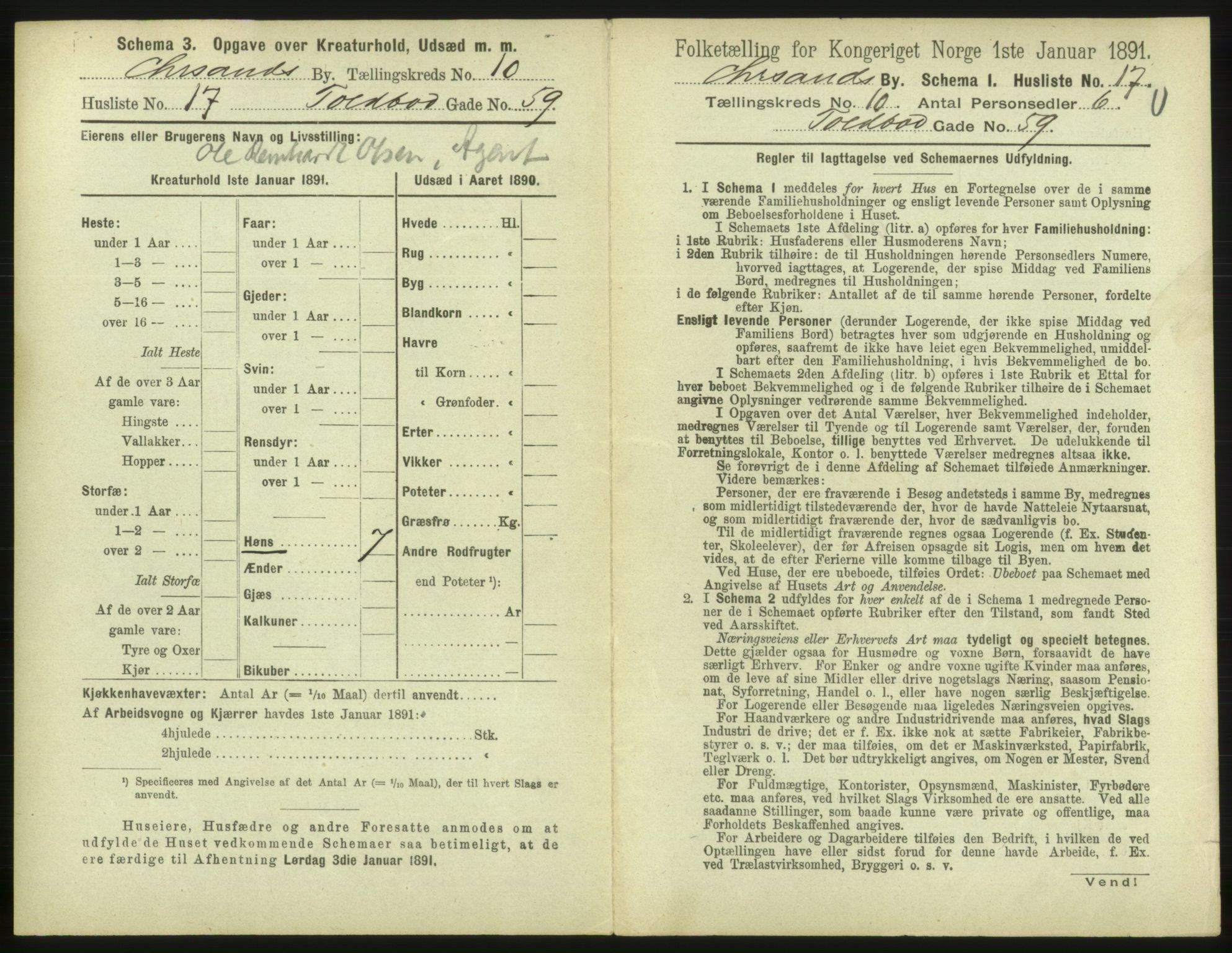 RA, 1891 census for 1001 Kristiansand, 1891, p. 738