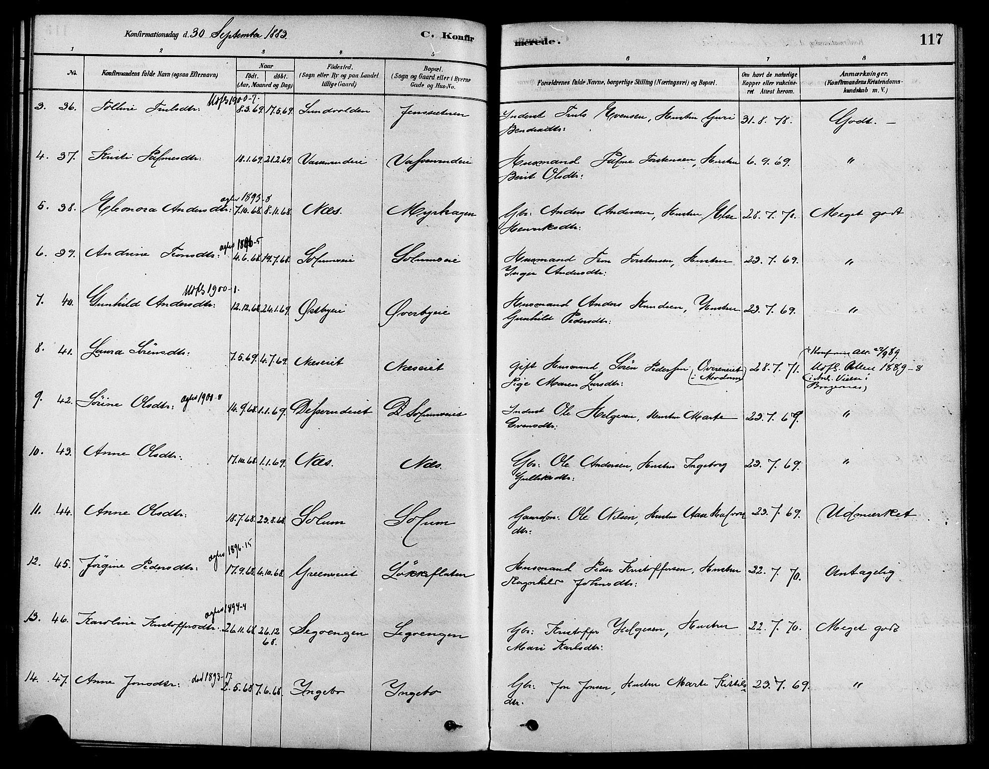 Sigdal kirkebøker, AV/SAKO-A-245/F/Fa/L0011: Parish register (official) no. I 11, 1879-1887, p. 117