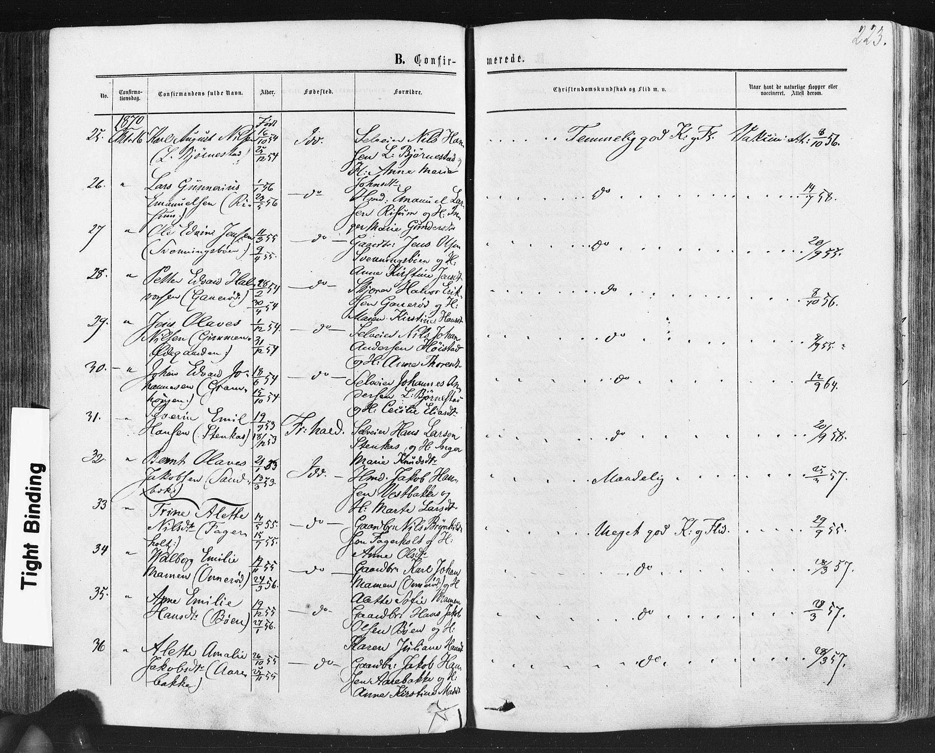 Idd prestekontor Kirkebøker, AV/SAO-A-10911/F/Fc/L0005: Parish register (official) no. III 5, 1861-1877, p. 223