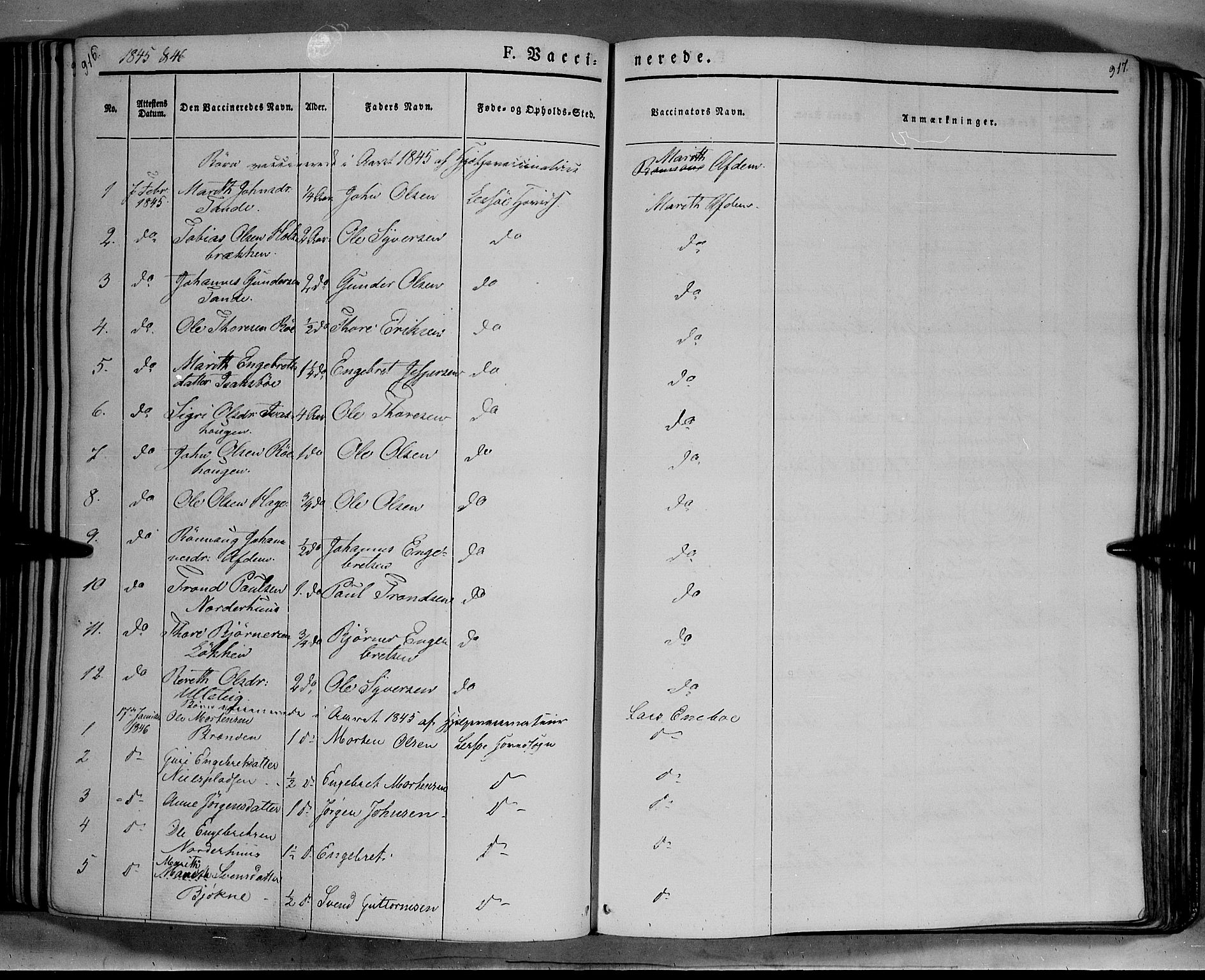 Lesja prestekontor, SAH/PREST-068/H/Ha/Haa/L0006: Parish register (official) no. 6B, 1843-1854, p. 916-917