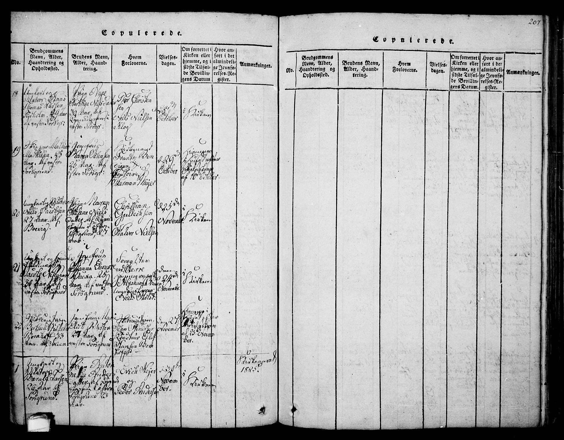 Porsgrunn kirkebøker , AV/SAKO-A-104/F/Fa/L0004: Parish register (official) no. 4, 1814-1828, p. 207