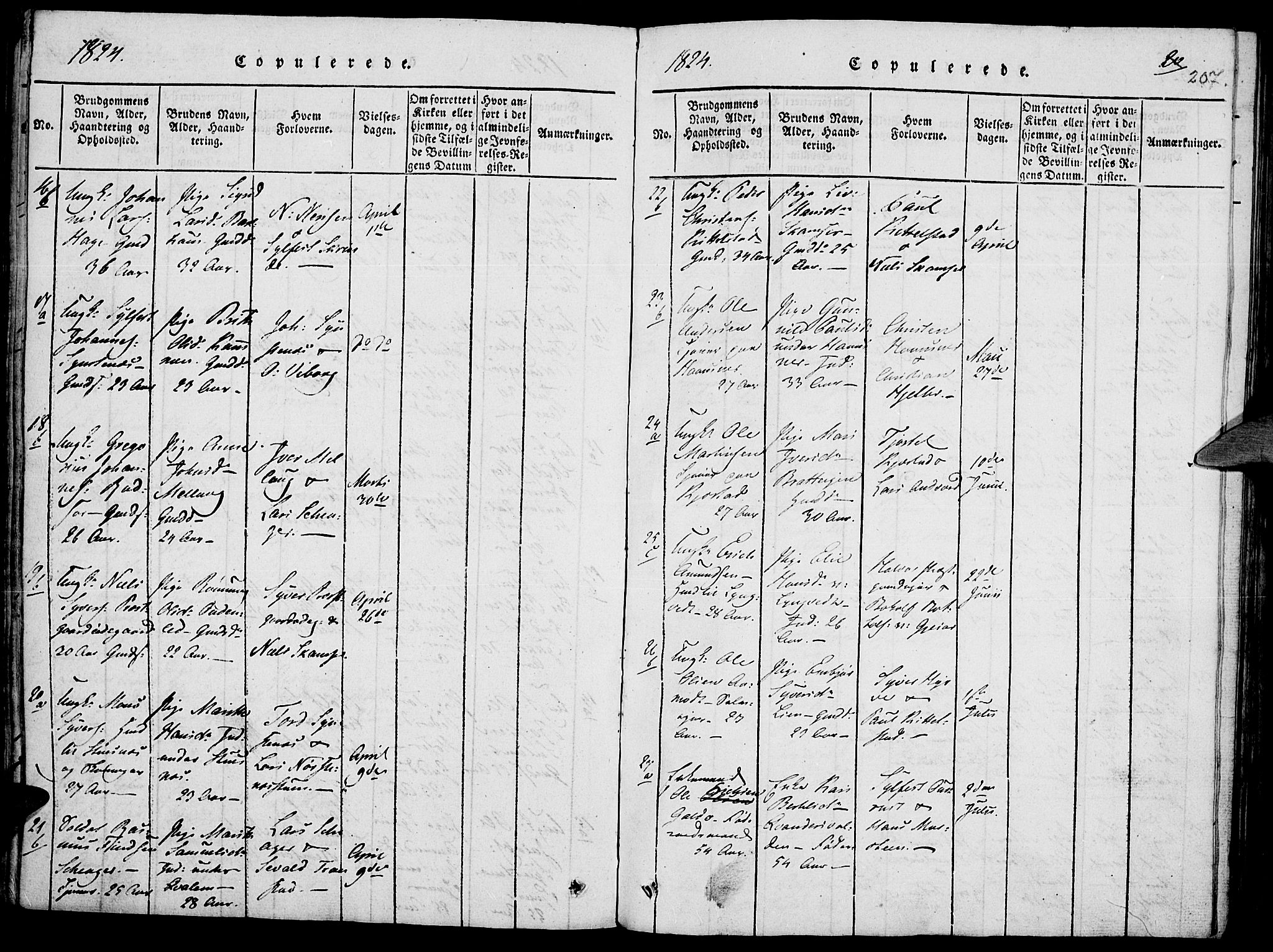 Lom prestekontor, SAH/PREST-070/K/L0004: Parish register (official) no. 4, 1815-1825, p. 207