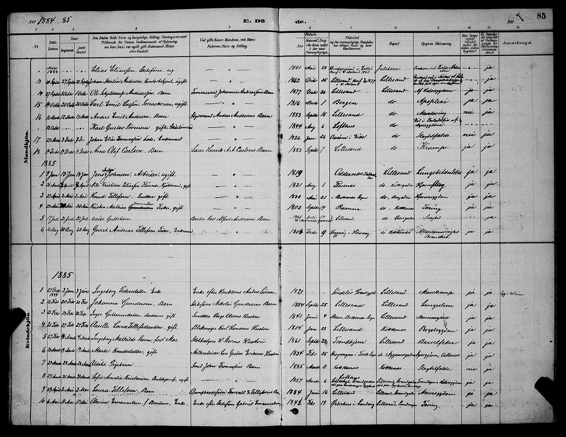 Vestre Moland sokneprestkontor, SAK/1111-0046/F/Fb/Fba/L0001: Parish register (copy) no. B 1, 1884-1903, p. 85