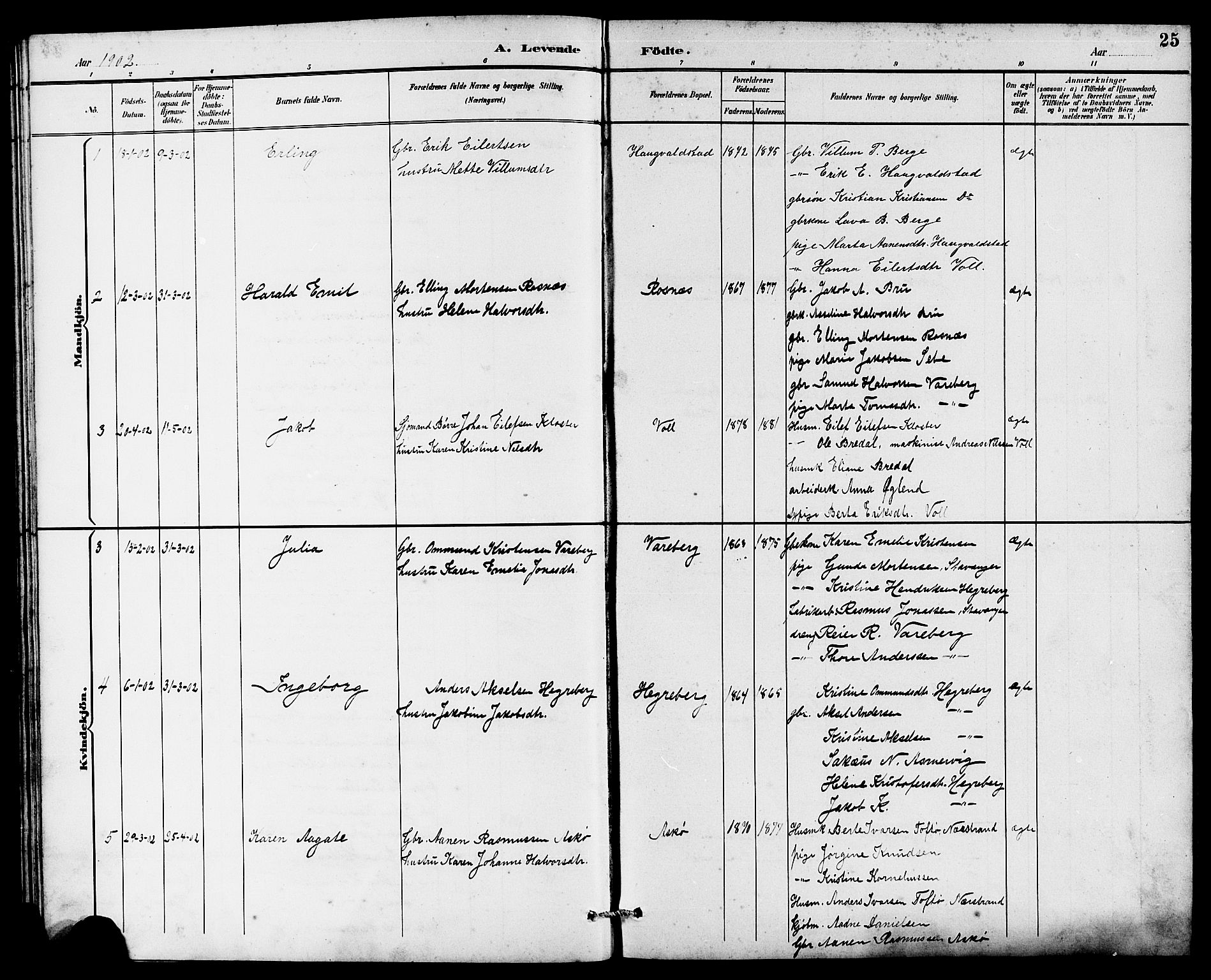 Rennesøy sokneprestkontor, AV/SAST-A -101827/H/Ha/Hab/L0011: Parish register (copy) no. B 10, 1891-1908, p. 25