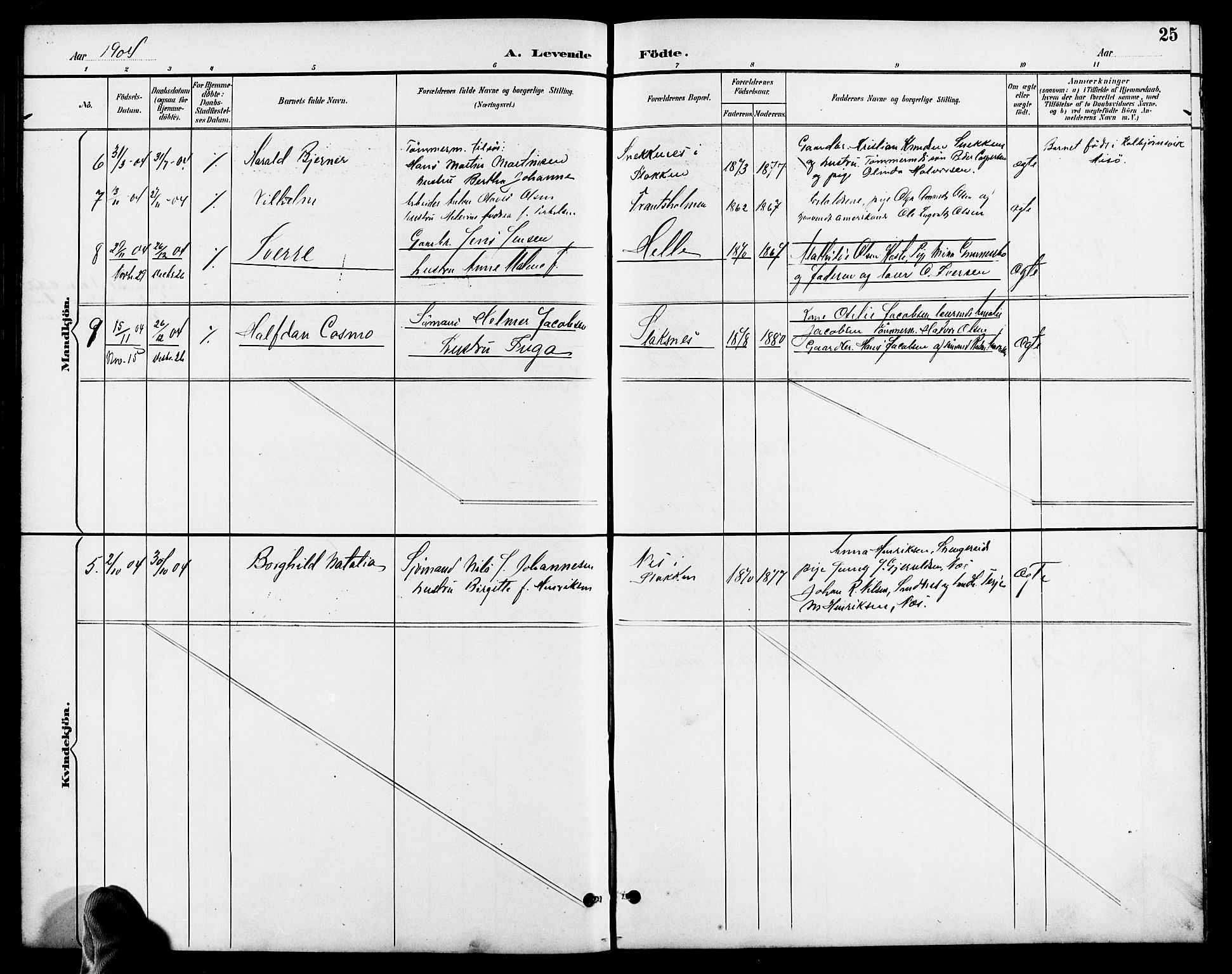 Austre Moland sokneprestkontor, AV/SAK-1111-0001/F/Fb/Fbb/L0002: Parish register (copy) no. B 2, 1894-1918, p. 25