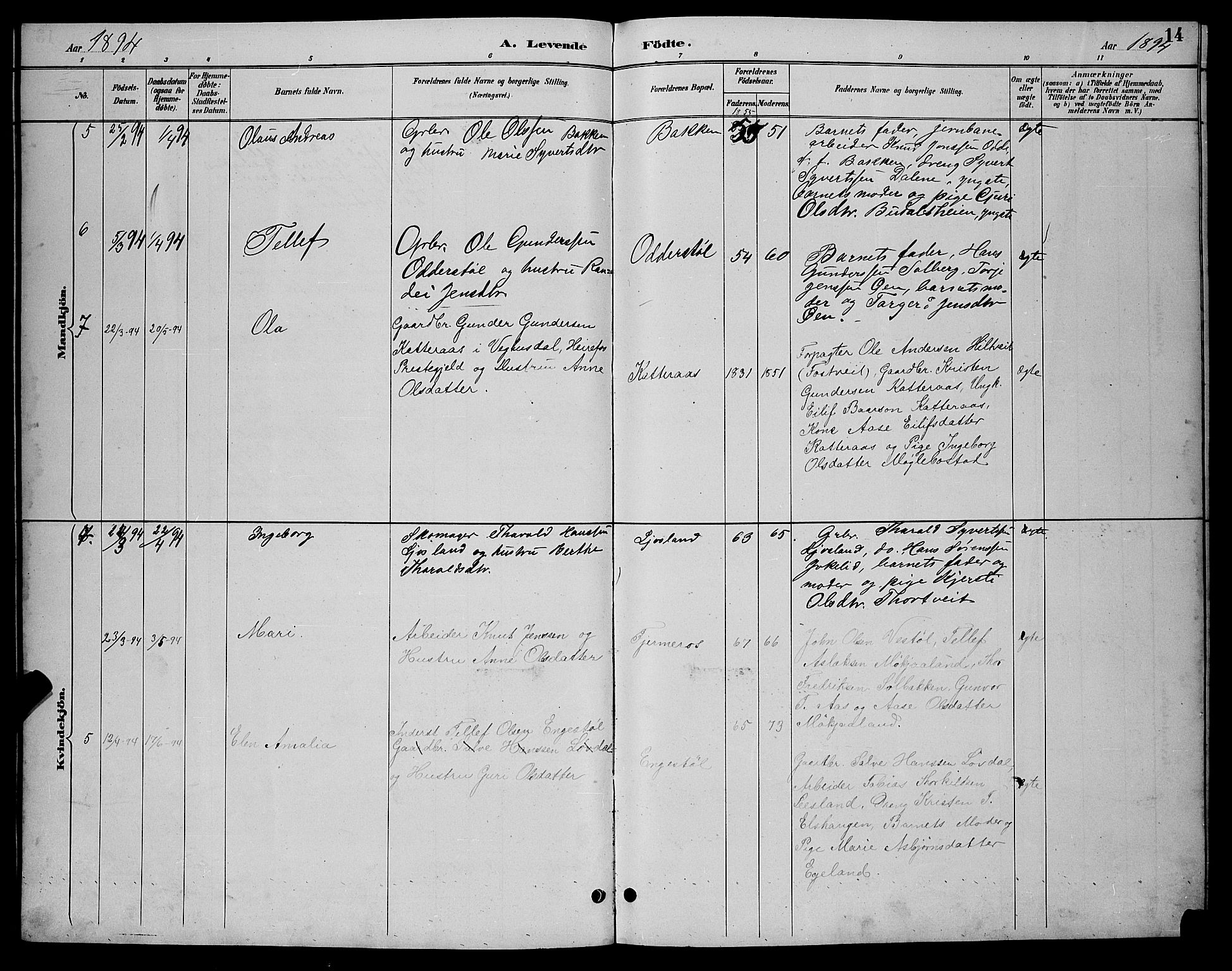 Evje sokneprestkontor, AV/SAK-1111-0008/F/Fb/Fbc/L0004: Parish register (copy) no. B 4, 1890-1900, p. 14