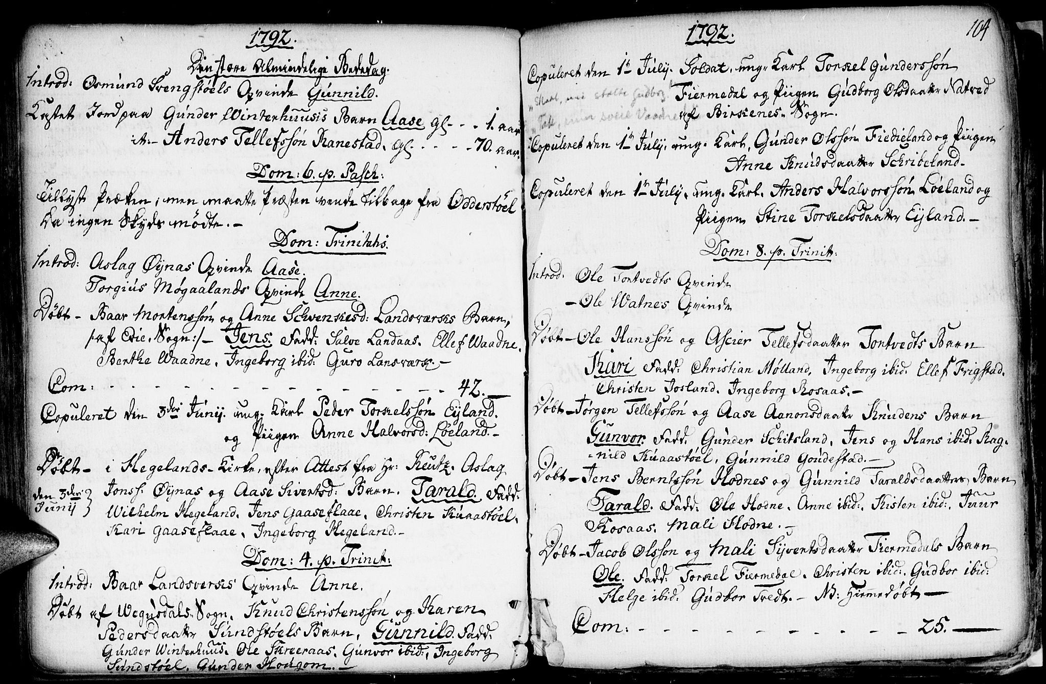 Evje sokneprestkontor, AV/SAK-1111-0008/F/Fa/Fac/L0002: Parish register (official) no. A 2, 1765-1816, p. 104