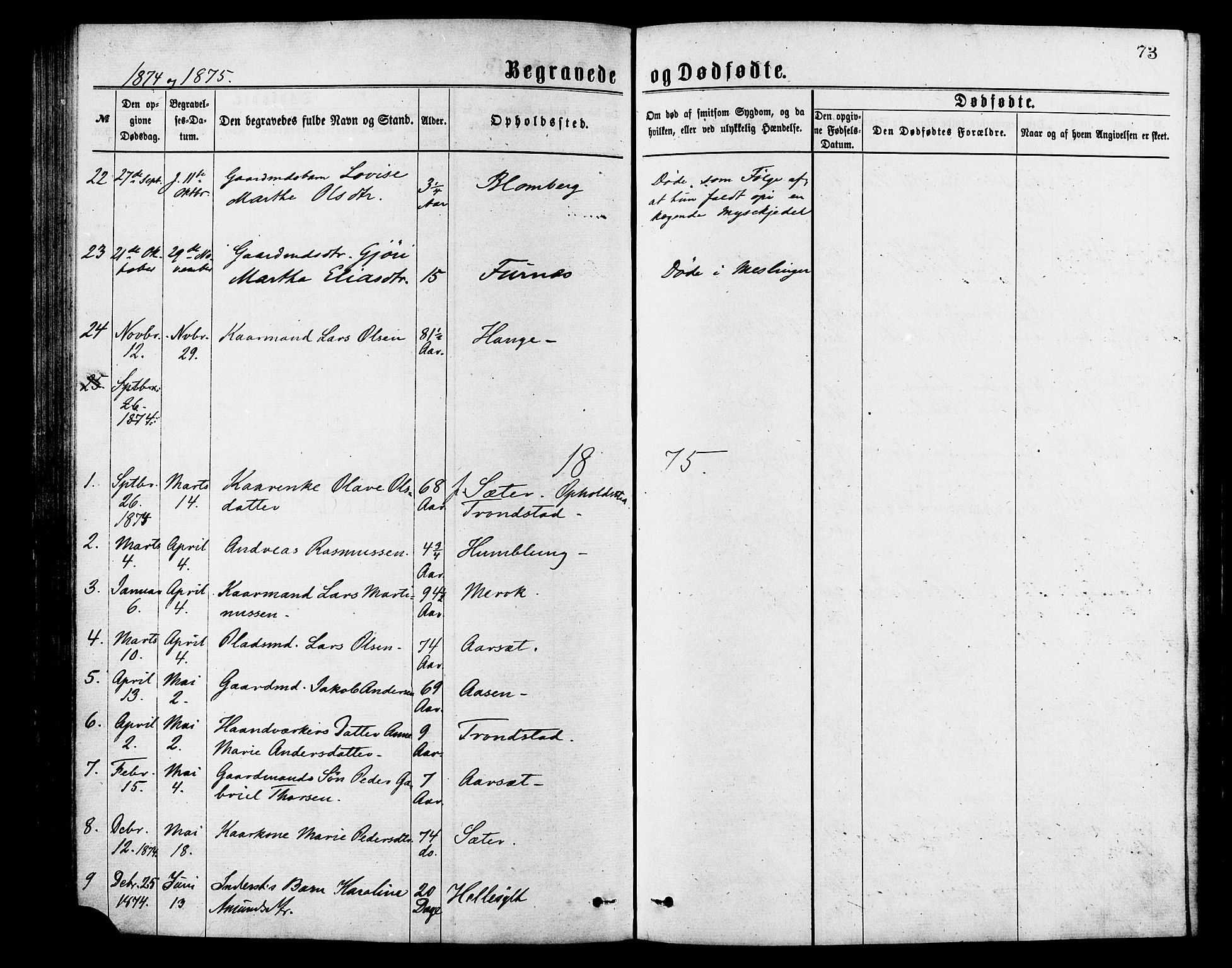 Ministerialprotokoller, klokkerbøker og fødselsregistre - Møre og Romsdal, SAT/A-1454/517/L0227: Parish register (official) no. 517A07, 1870-1886, p. 73