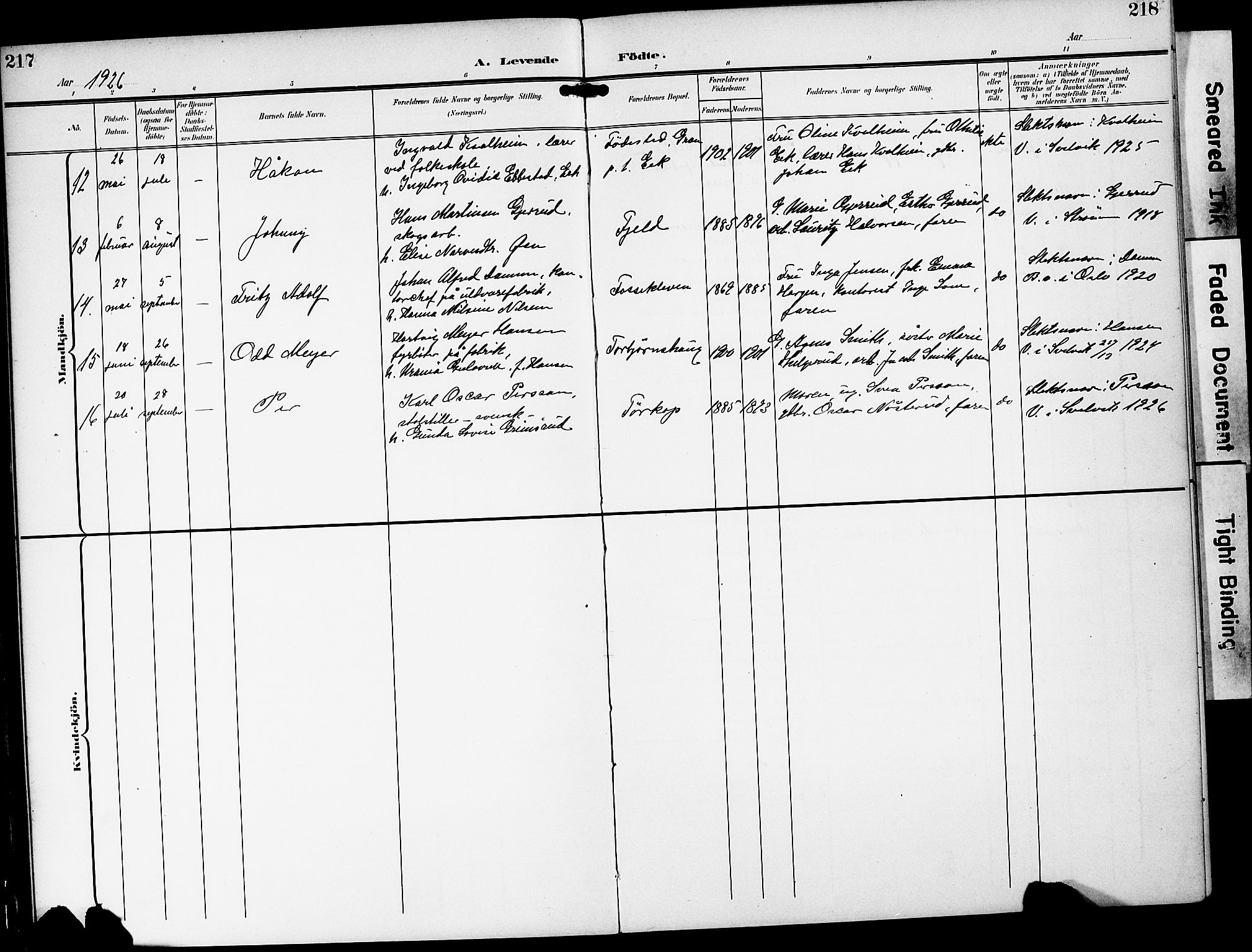 Strømm kirkebøker, AV/SAKO-A-322/G/Ga/L0004: Parish register (copy) no. I 4, 1897-1927, p. 217-218