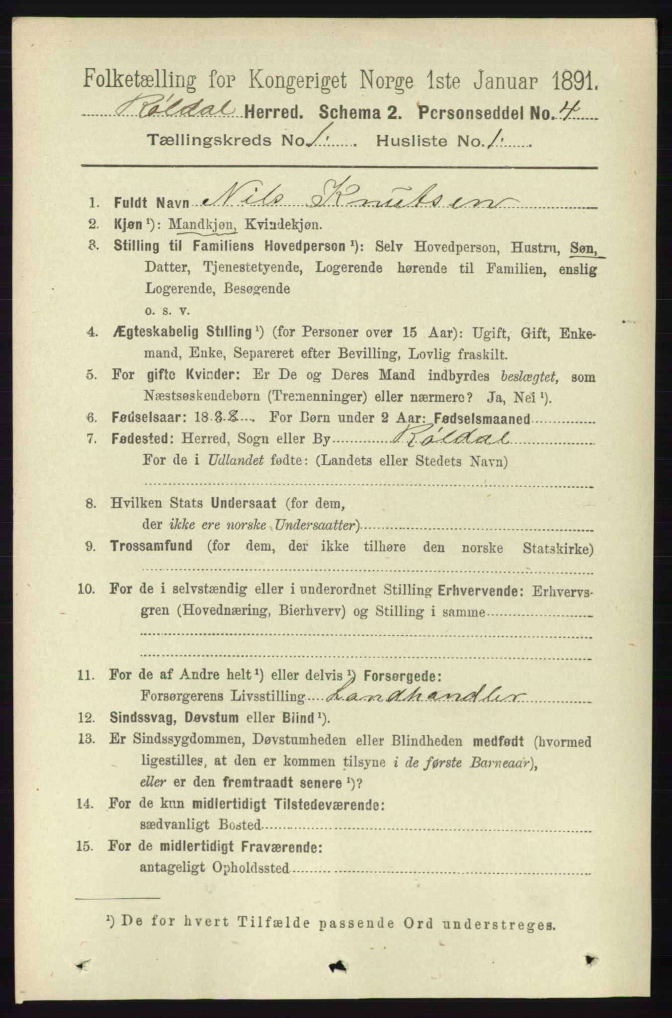 RA, 1891 census for 1229 Røldal, 1891, p. 94