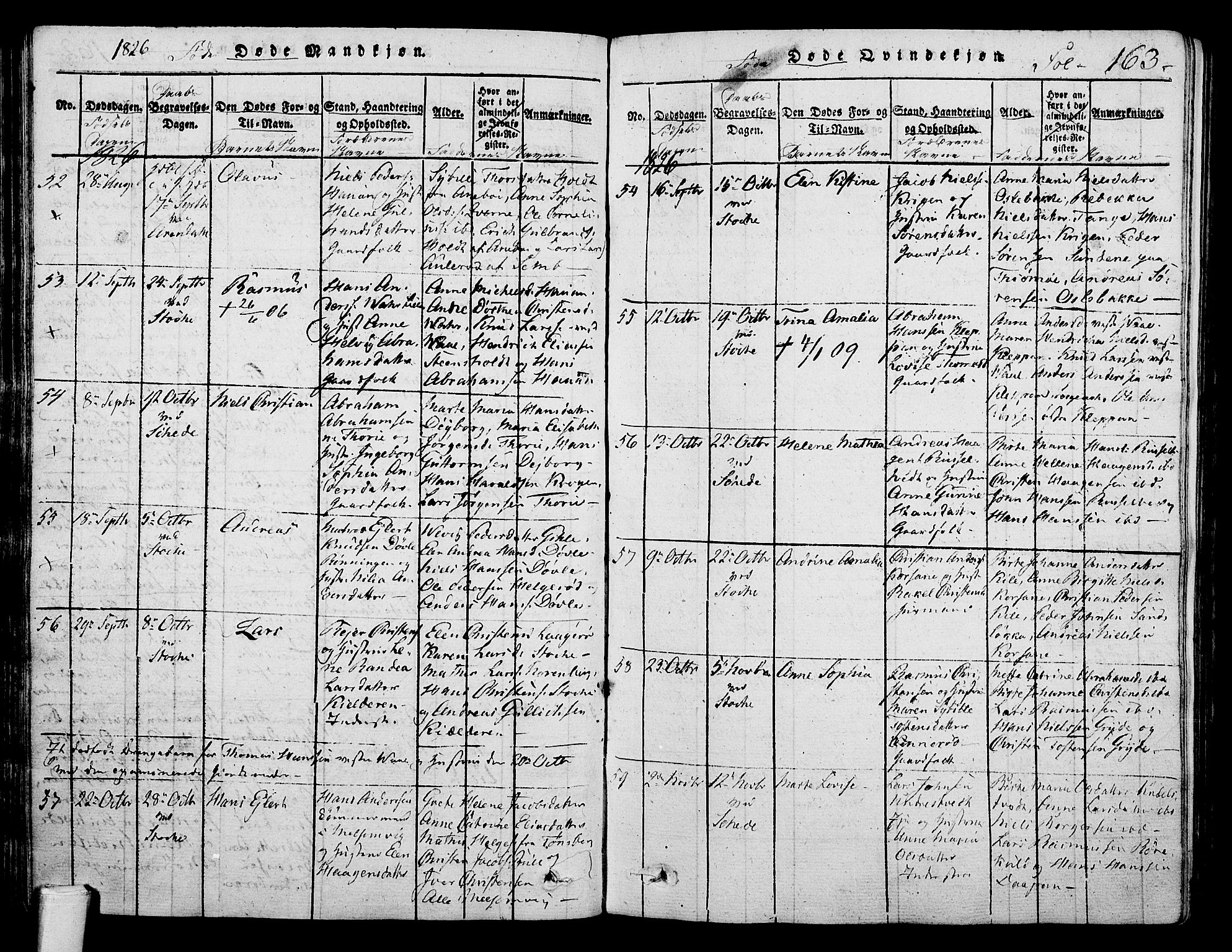 Stokke kirkebøker, AV/SAKO-A-320/F/Fa/L0005: Parish register (official) no. I 5, 1815-1826, p. 163