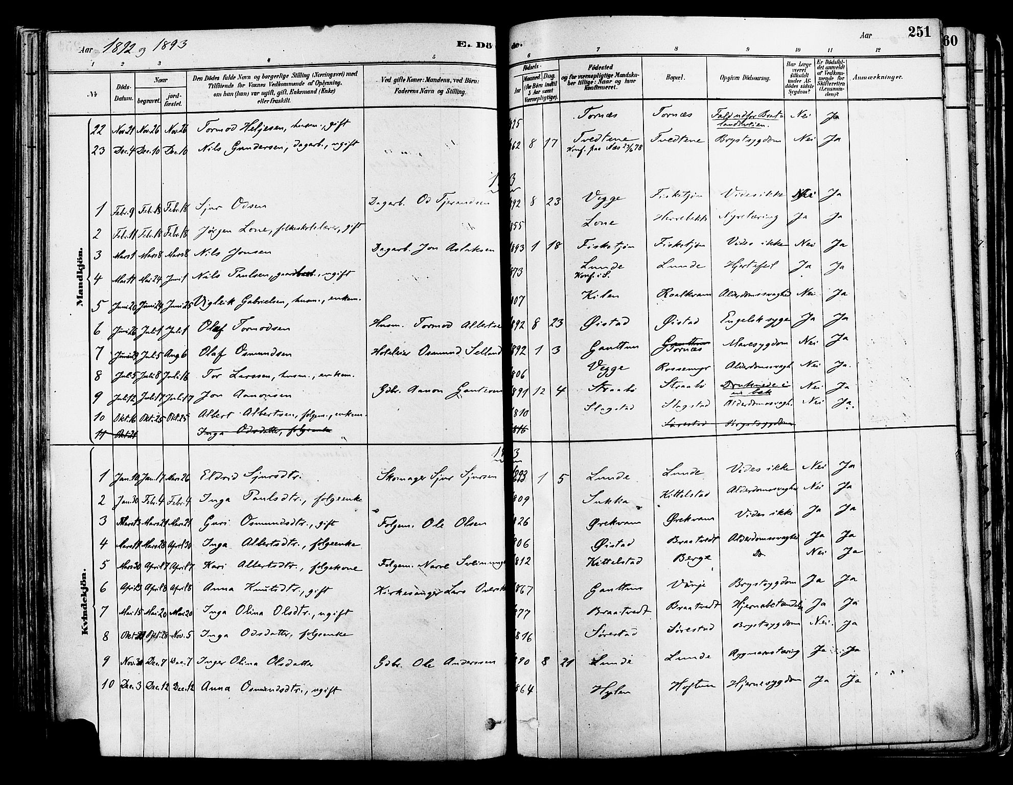 Suldal sokneprestkontor, AV/SAST-A-101845/01/IV/L0011: Parish register (official) no. A 11, 1878-1900, p. 251