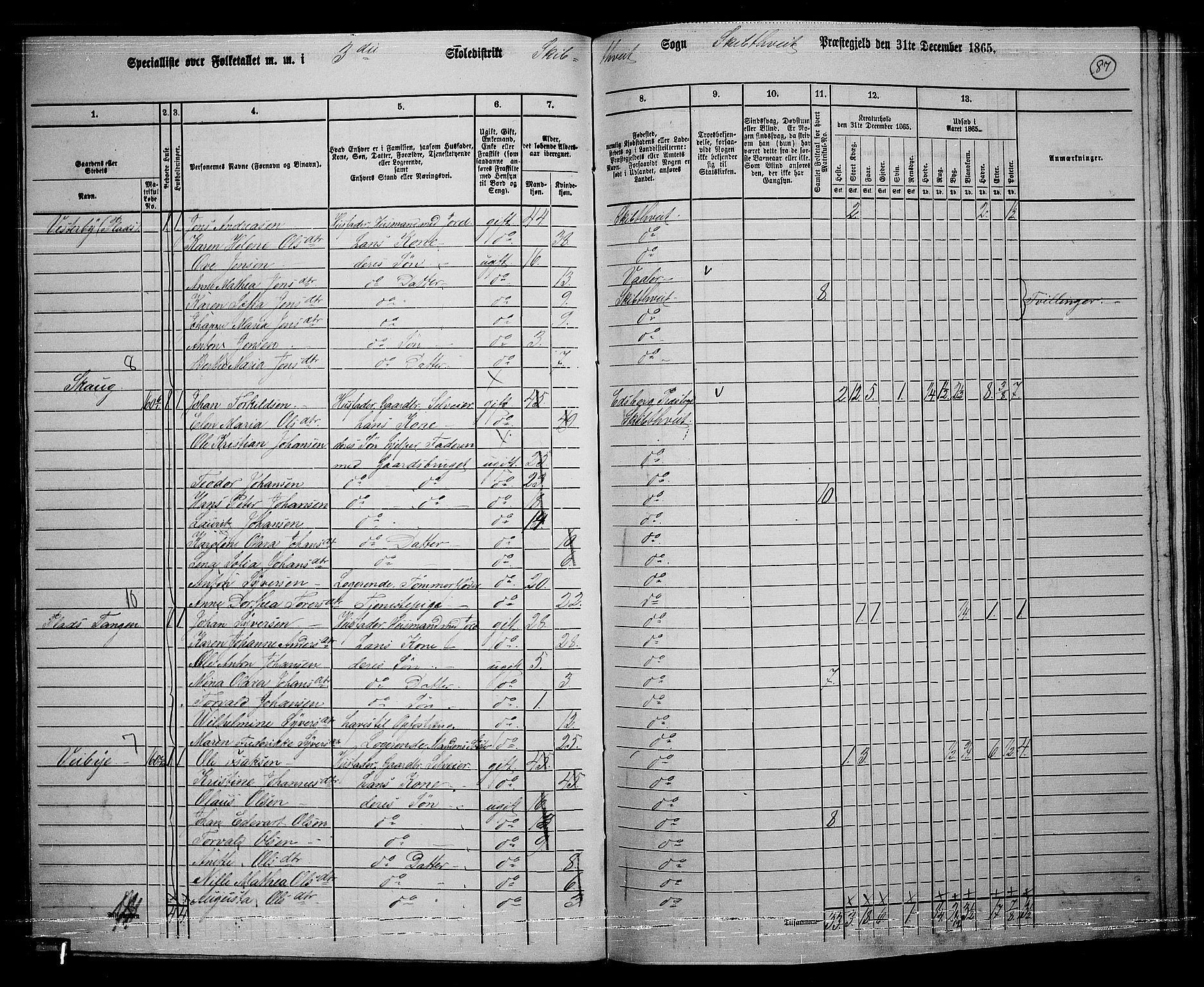 RA, 1865 census for Skiptvet, 1865, p. 78