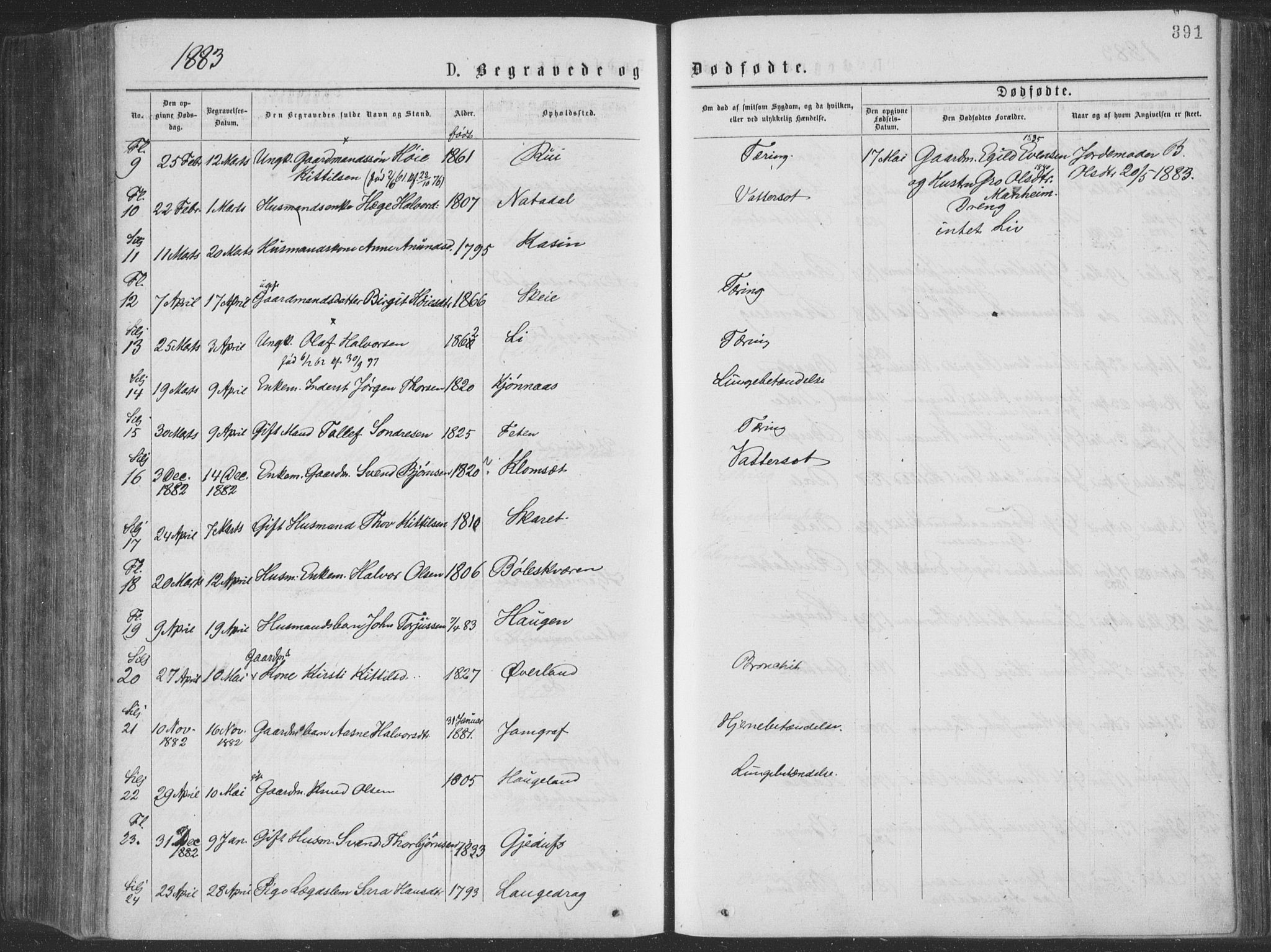 Seljord kirkebøker, AV/SAKO-A-20/F/Fa/L0014: Parish register (official) no. I 14, 1877-1886, p. 391