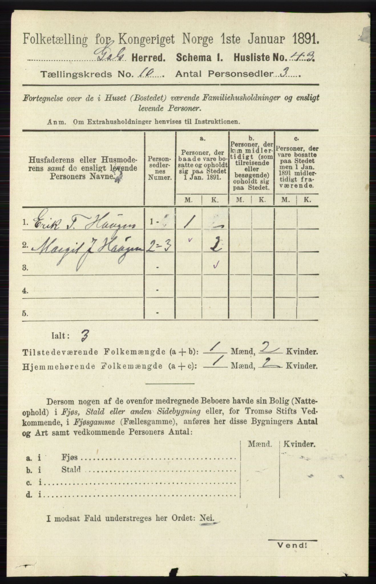 RA, 1891 census for 0617 Gol og Hemsedal, 1891, p. 4023