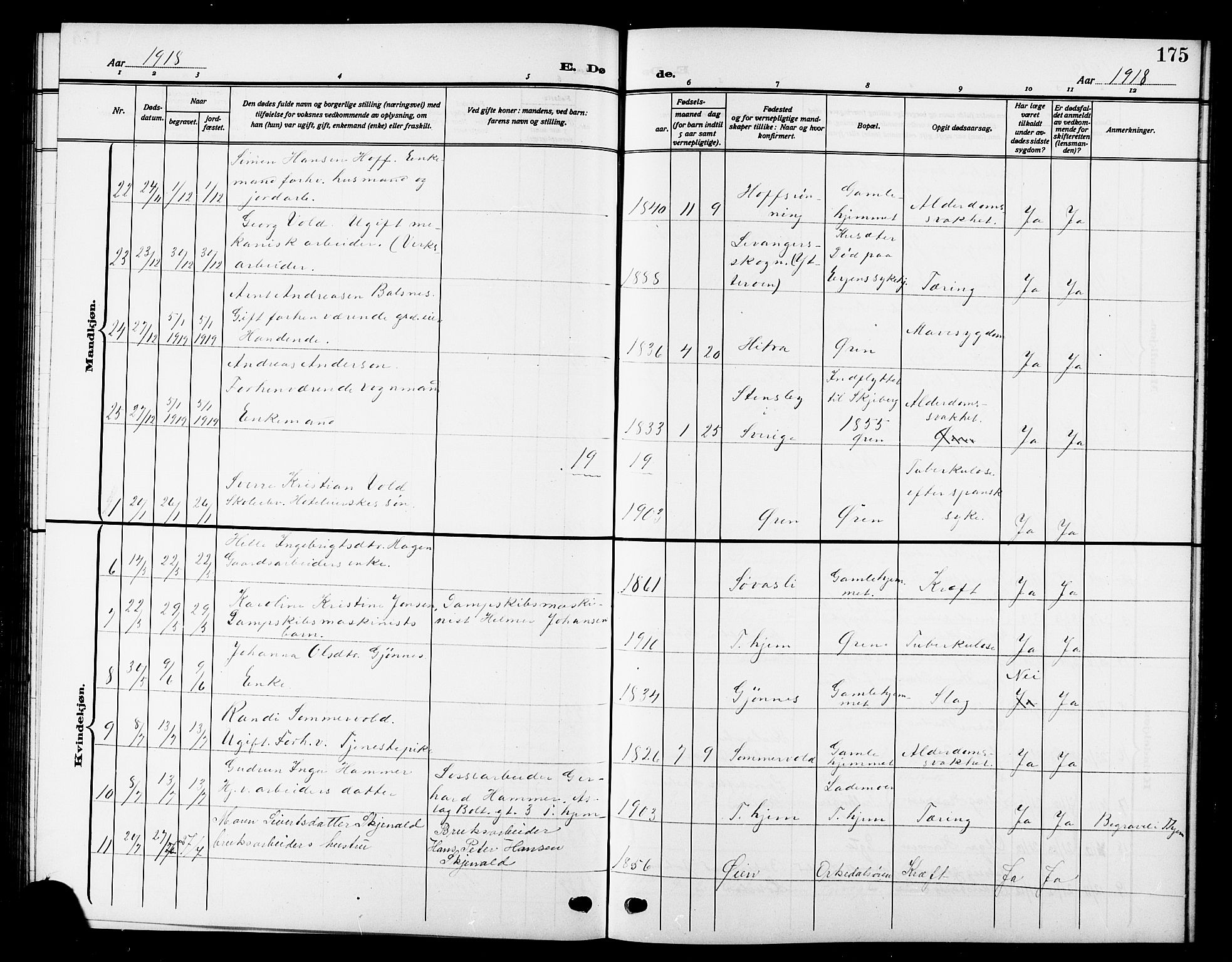 Ministerialprotokoller, klokkerbøker og fødselsregistre - Sør-Trøndelag, SAT/A-1456/669/L0831: Parish register (copy) no. 669C01, 1909-1924, p. 175