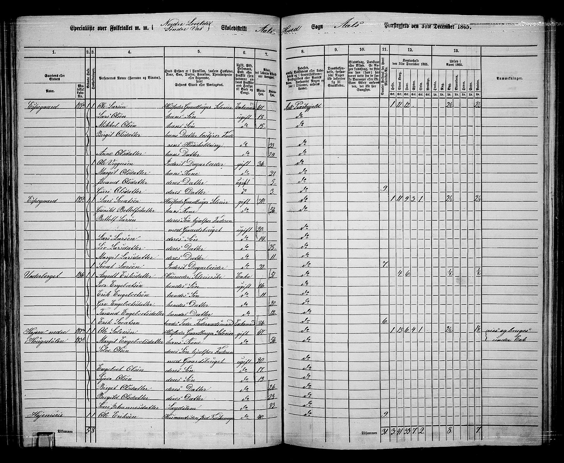 RA, 1865 census for Ål, 1865, p. 115