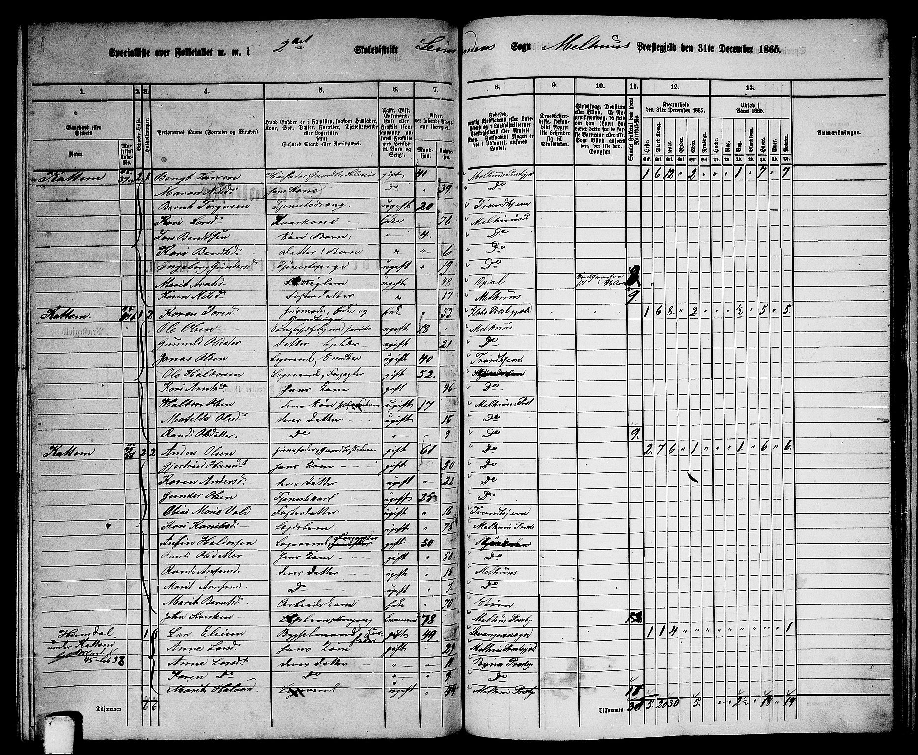 RA, 1865 census for Melhus, 1865, p. 217