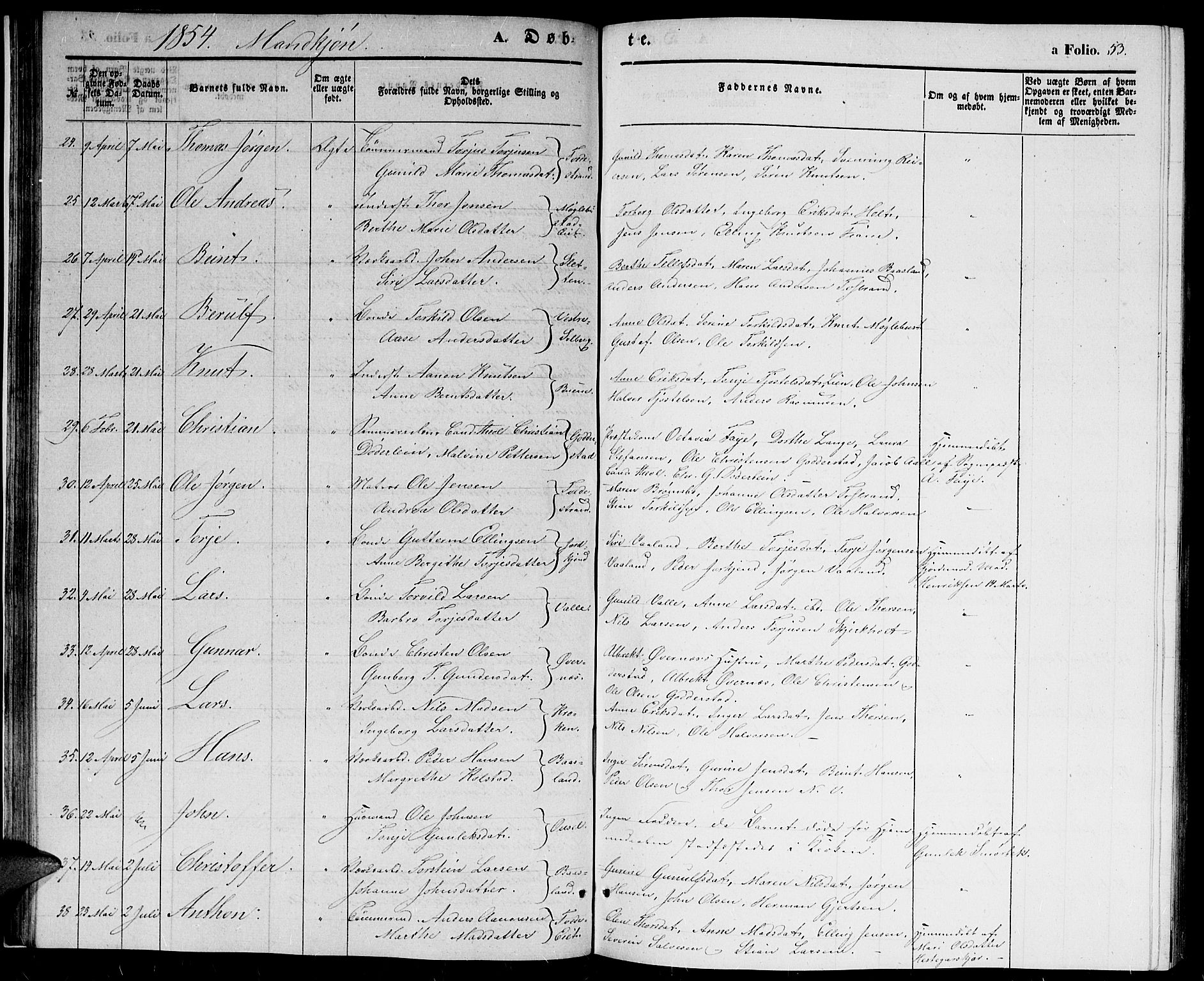 Holt sokneprestkontor, SAK/1111-0021/F/Fb/L0007: Parish register (copy) no. B 7, 1849-1858, p. 53