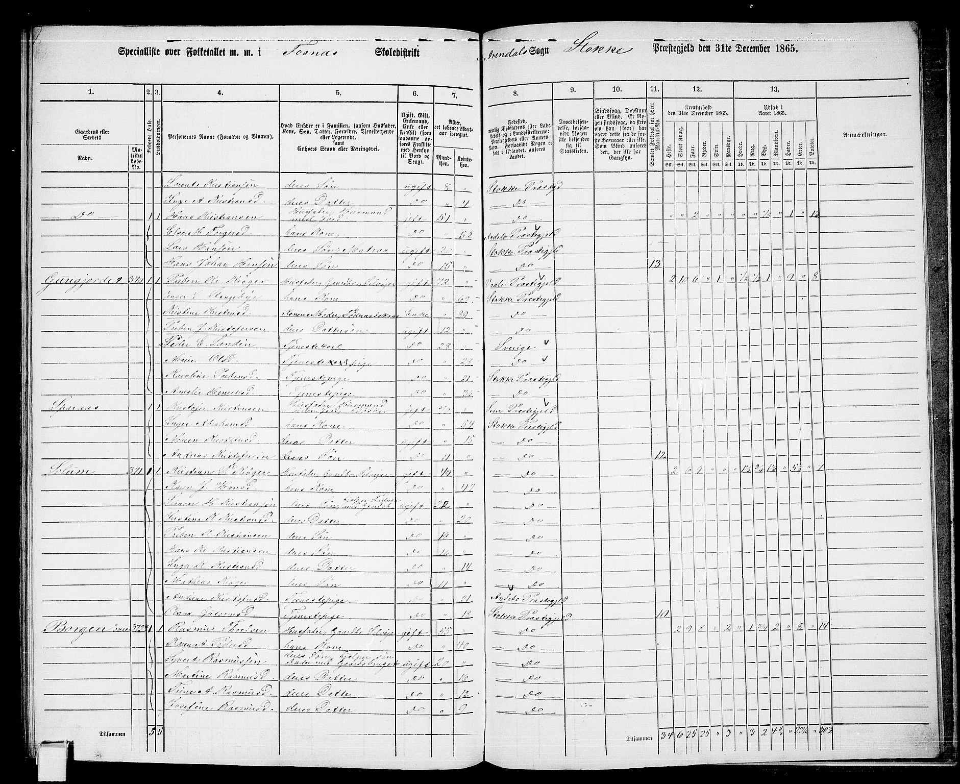 RA, 1865 census for Stokke, 1865, p. 180