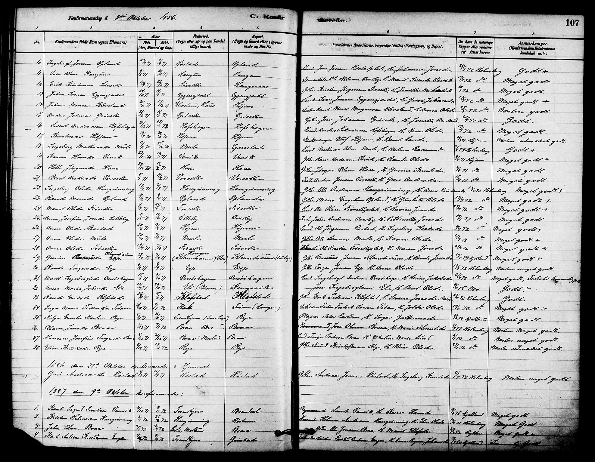 Ministerialprotokoller, klokkerbøker og fødselsregistre - Sør-Trøndelag, SAT/A-1456/612/L0378: Parish register (official) no. 612A10, 1878-1897, p. 107