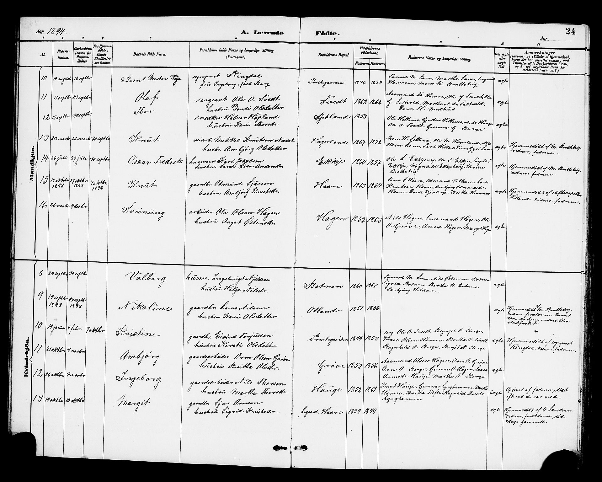 Røldal sokneprestembete, SAB/A-100247: Parish register (copy) no. A 3, 1887-1917, p. 24