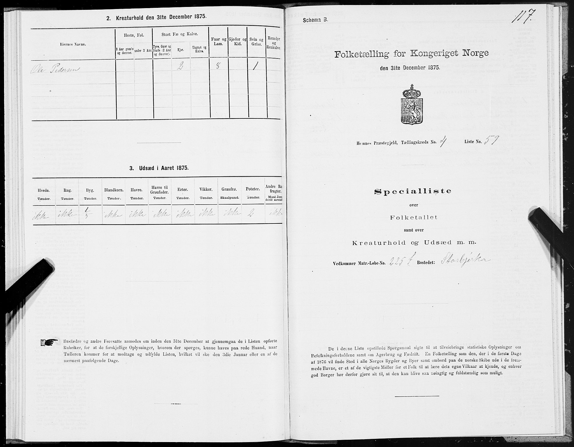 SAT, 1875 census for 1832P Hemnes, 1875, p. 3117