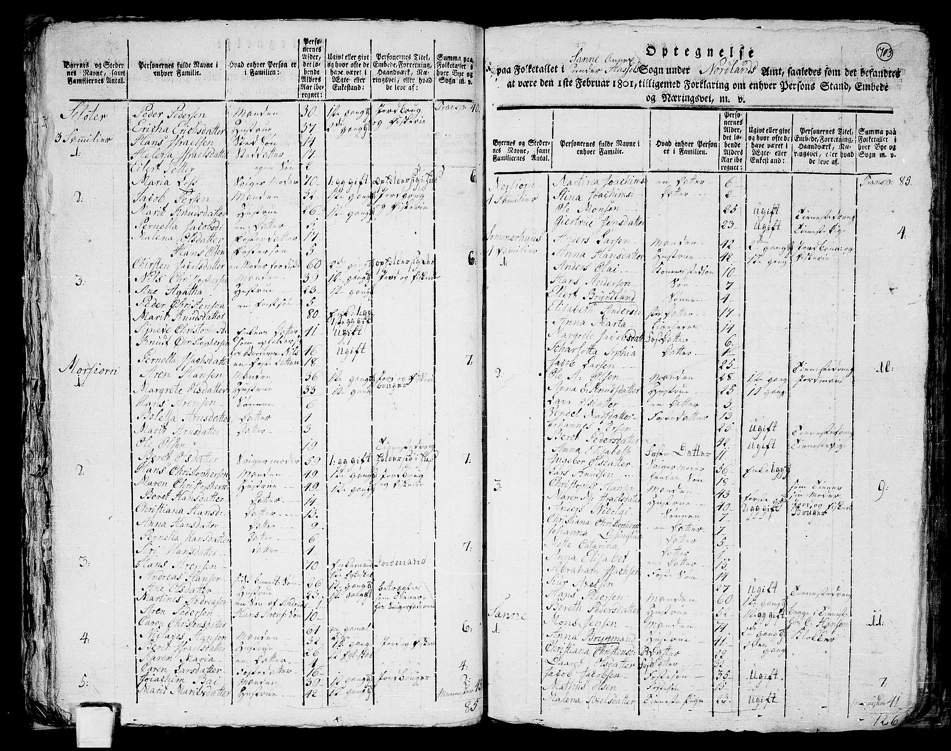 RA, 1801 census for 1866P Hadsel, 1801, p. 702b-703a