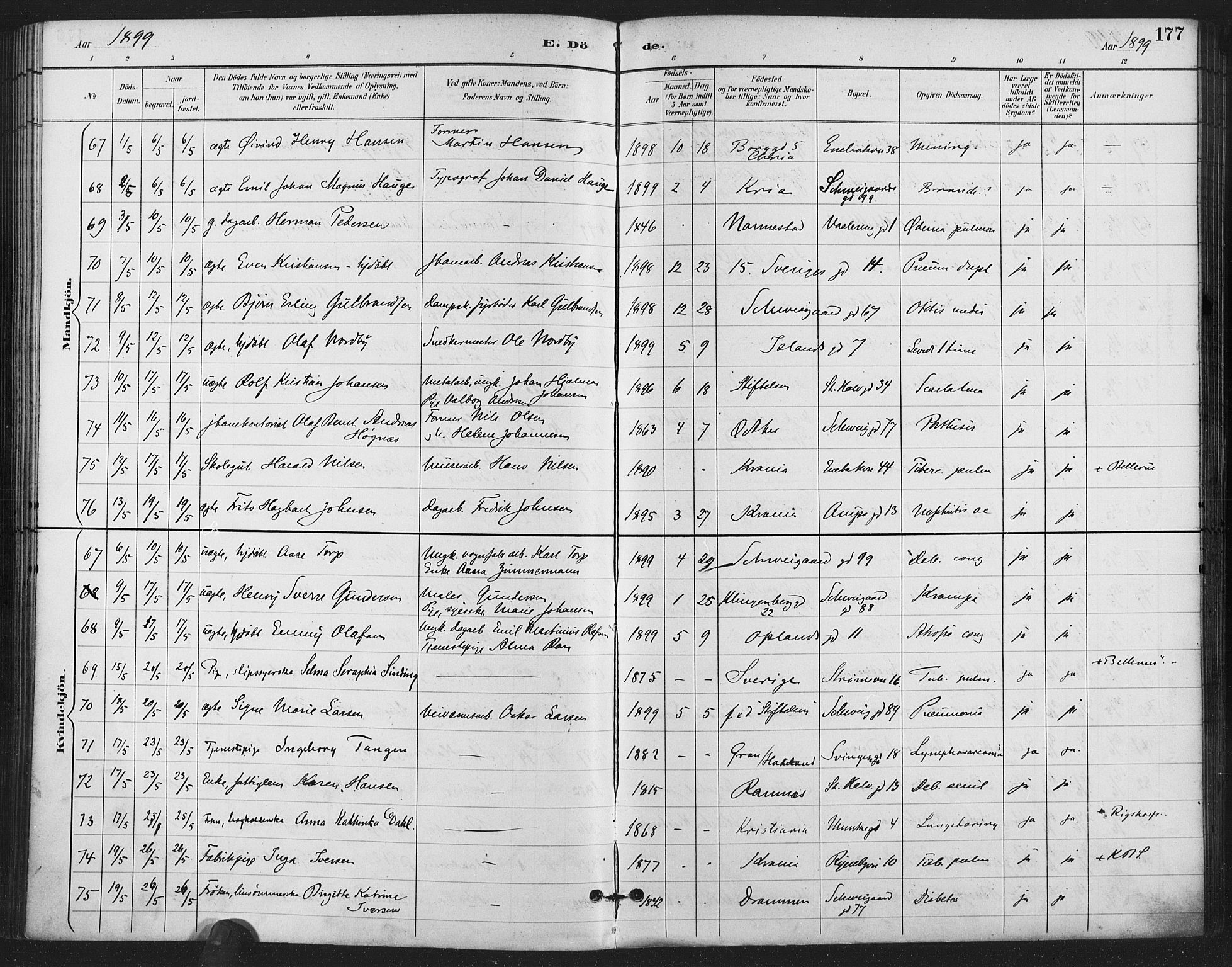 Gamlebyen prestekontor Kirkebøker, SAO/A-10884/F/Fa/L0009: Parish register (official) no. 9, 1888-1909, p. 177