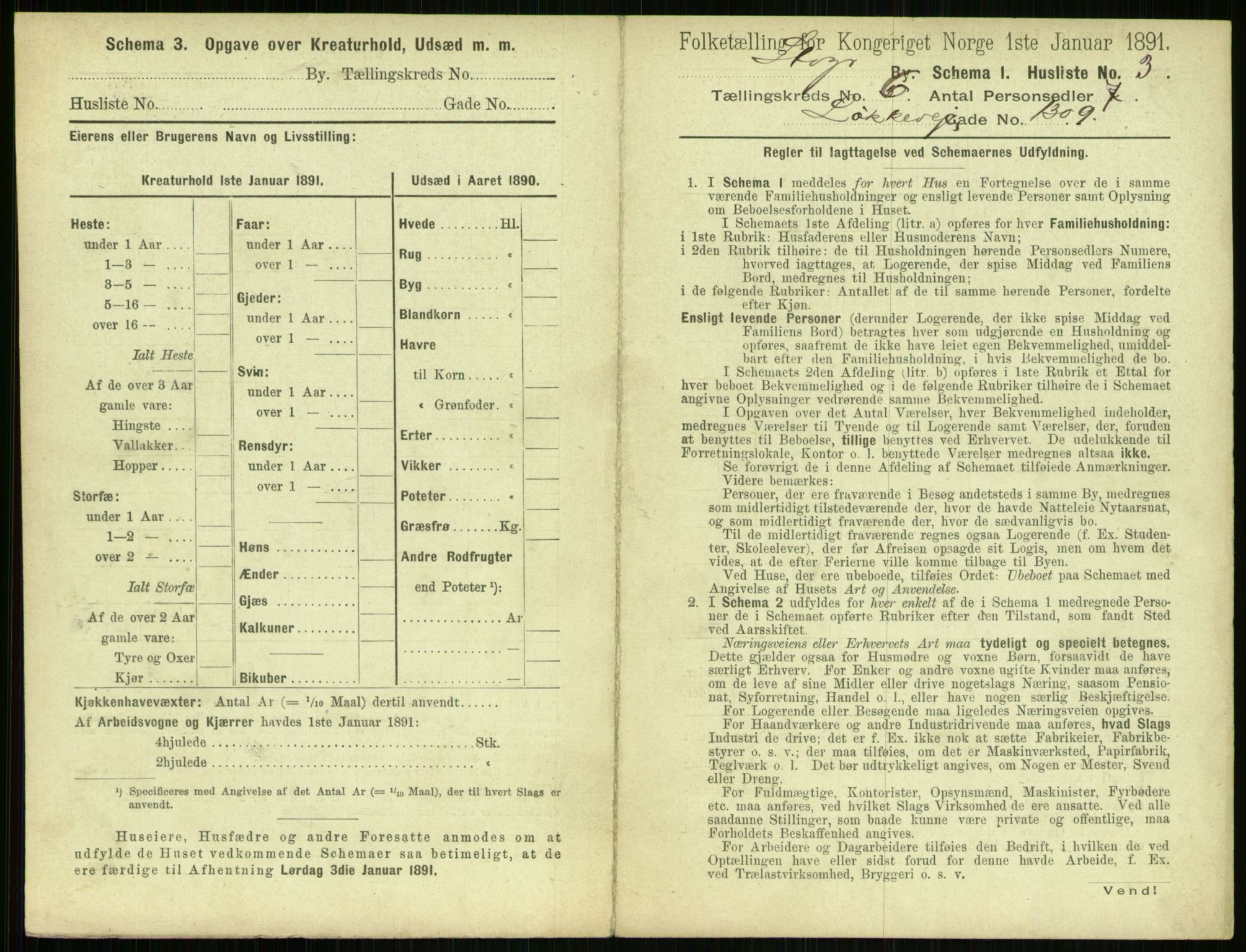 RA, 1891 census for 1103 Stavanger, 1891, p. 1085