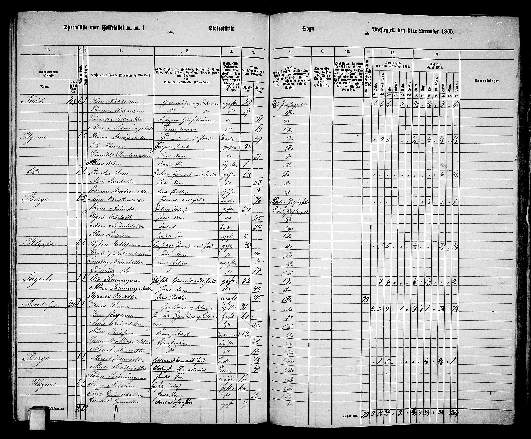 RA, 1865 census for Bø, 1865, p. 204