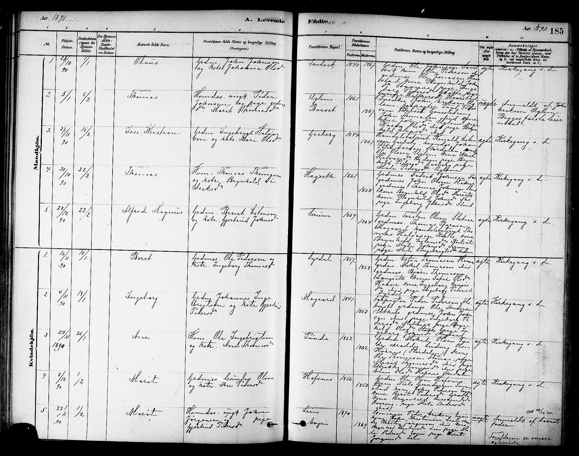 Ministerialprotokoller, klokkerbøker og fødselsregistre - Sør-Trøndelag, SAT/A-1456/695/L1148: Parish register (official) no. 695A08, 1878-1891, p. 185