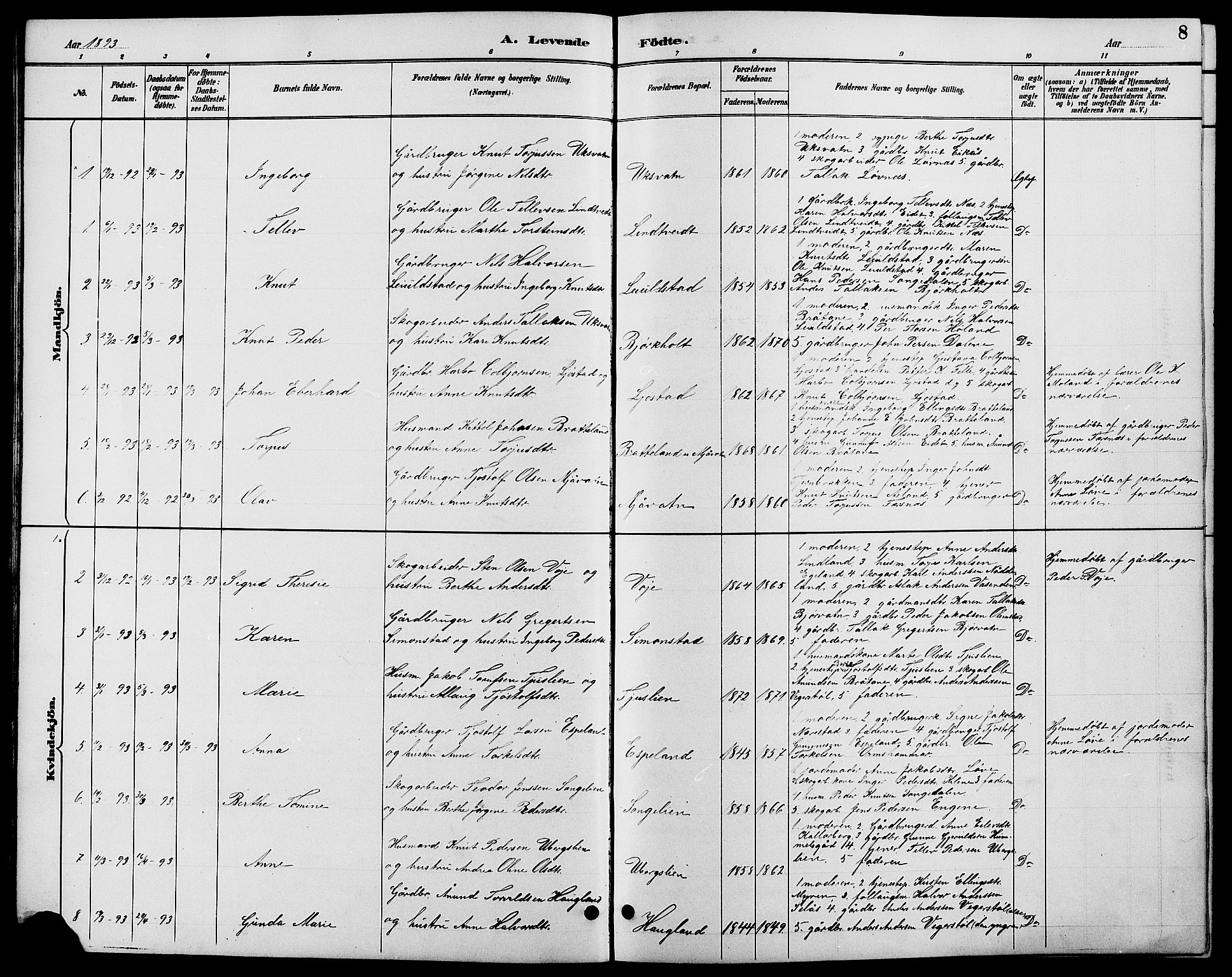 Gjerstad sokneprestkontor, SAK/1111-0014/F/Fb/Fbb/L0004: Parish register (copy) no. B 4, 1890-1910, p. 8