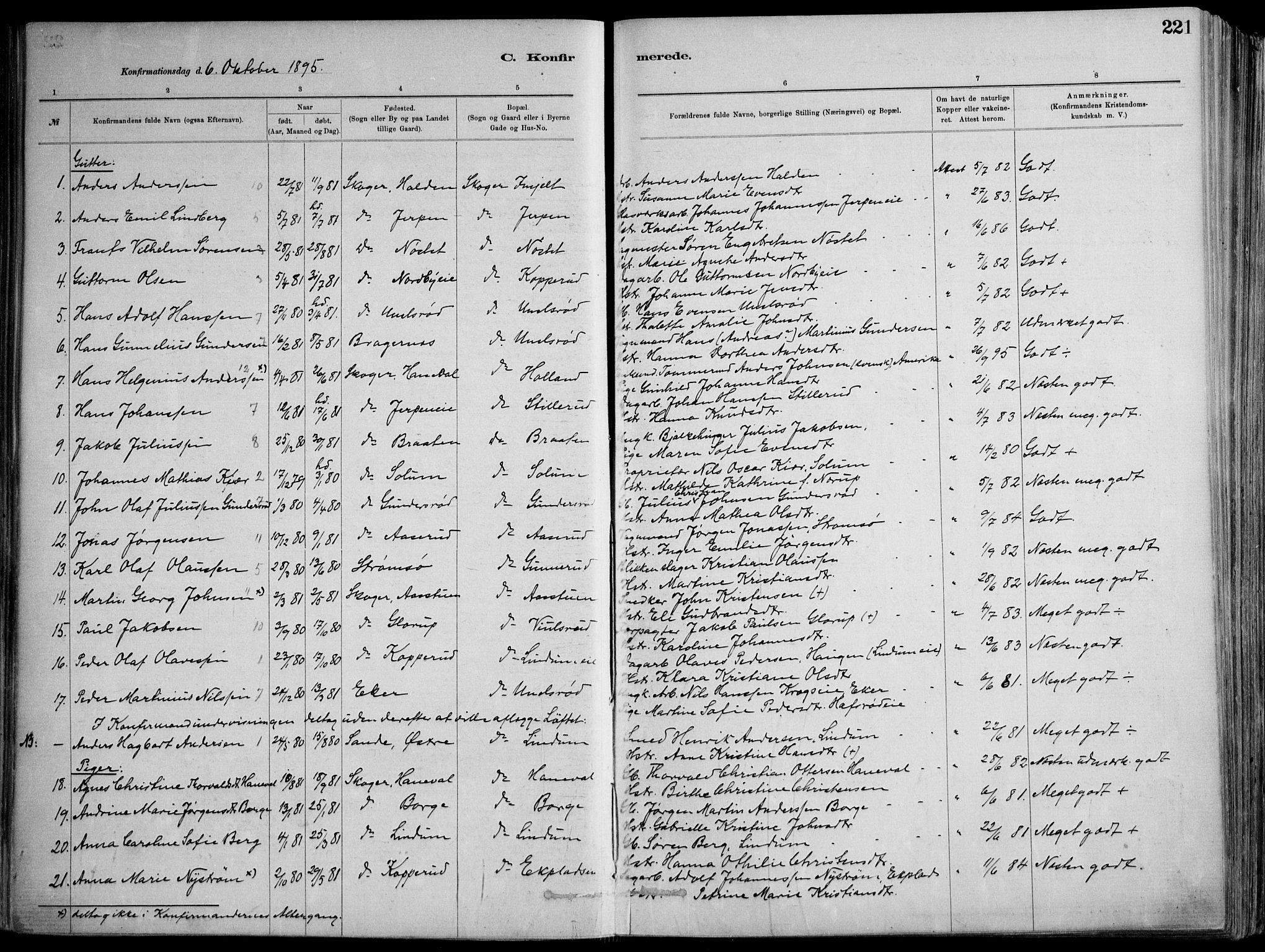 Skoger kirkebøker, AV/SAKO-A-59/F/Fa/L0006: Parish register (official) no. I 6, 1885-1910, p. 221
