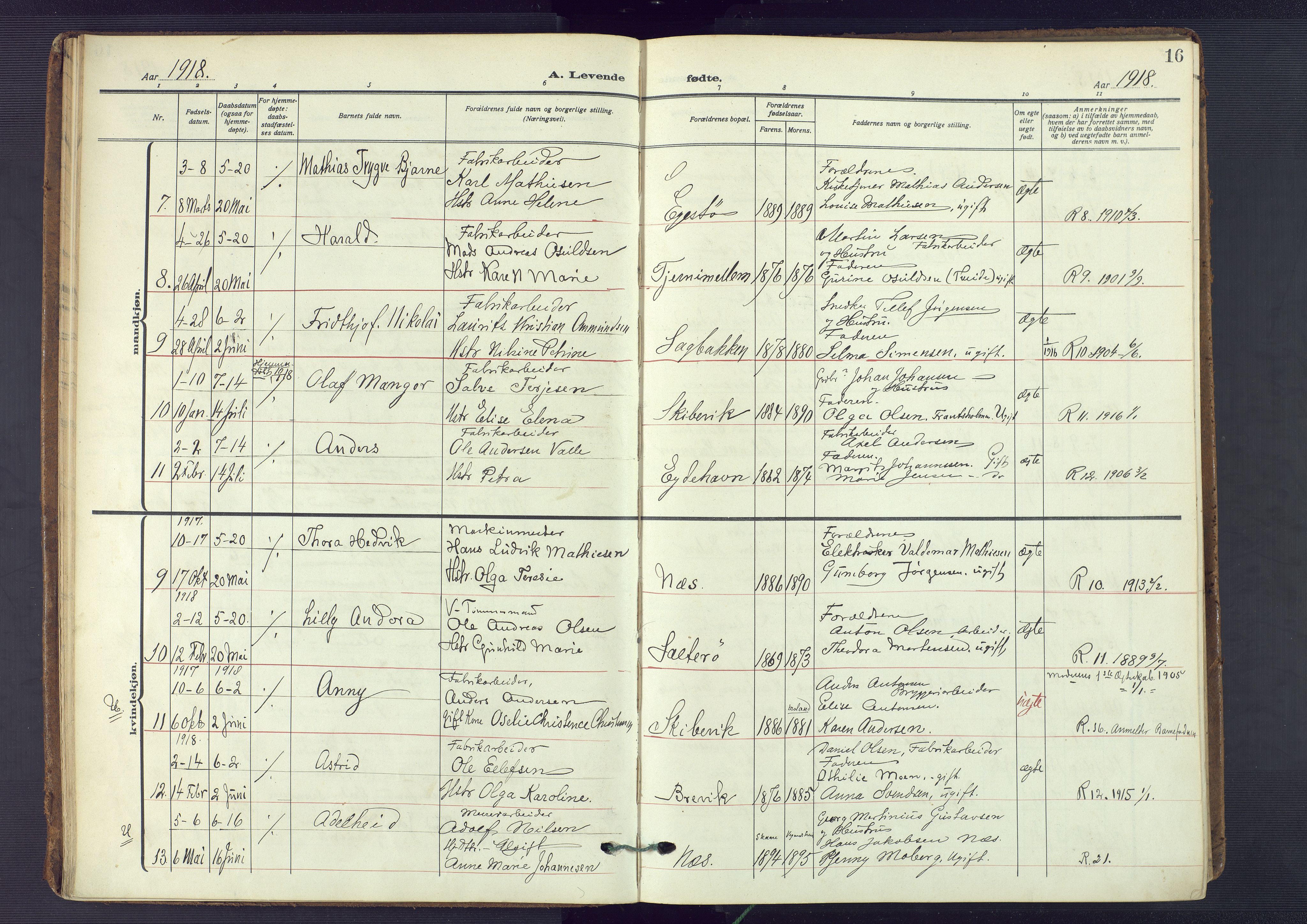 Austre Moland sokneprestkontor, AV/SAK-1111-0001/F/Fa/Fab/L0003: Parish register (official) no. A 3, 1914-1927, p. 16