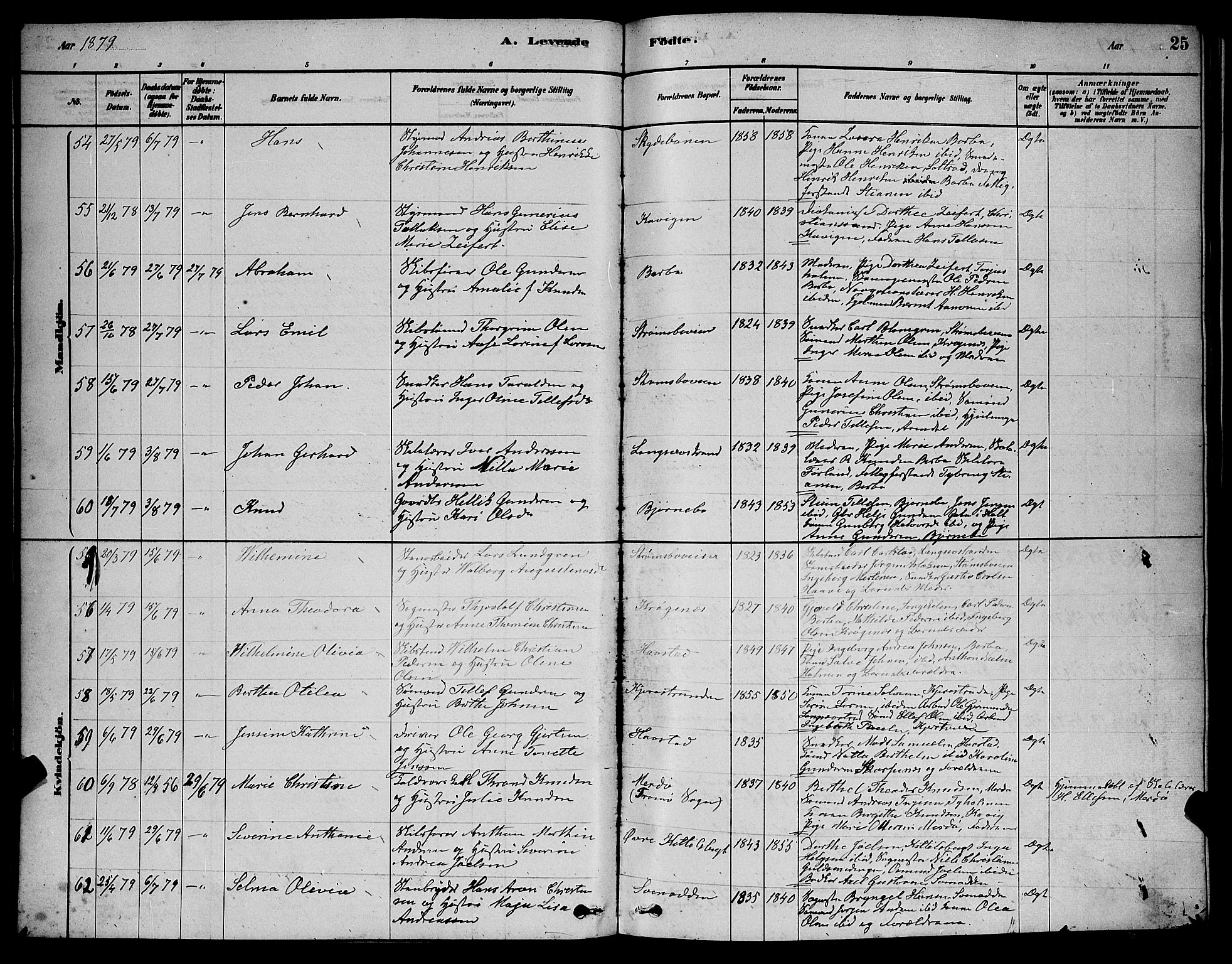 Barbu sokneprestkontor, AV/SAK-1111-0003/F/Fb/L0001: Parish register (copy) no. B 1, 1878-1890, p. 25