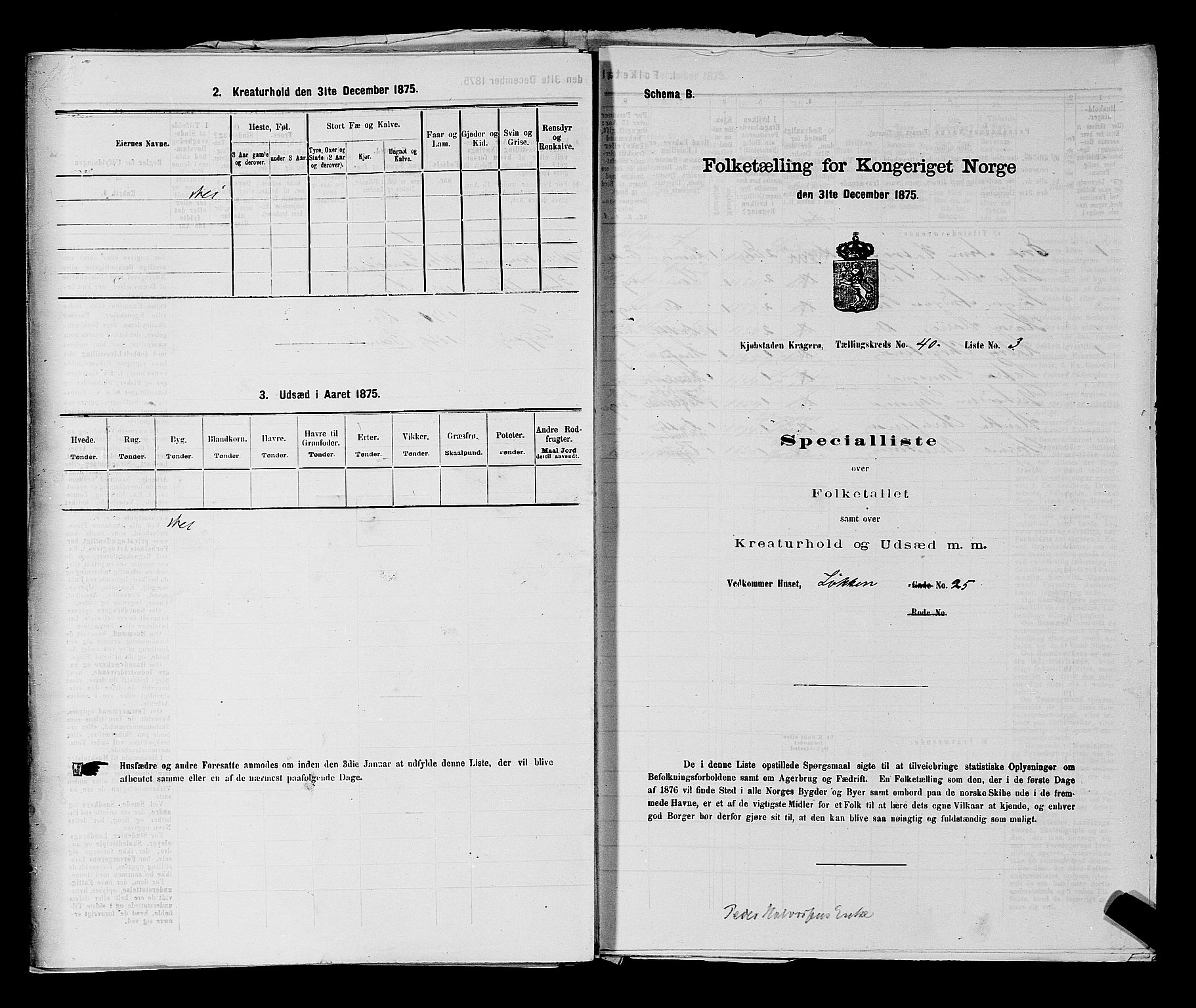 SAKO, 1875 census for 0801P Kragerø, 1875, p. 874