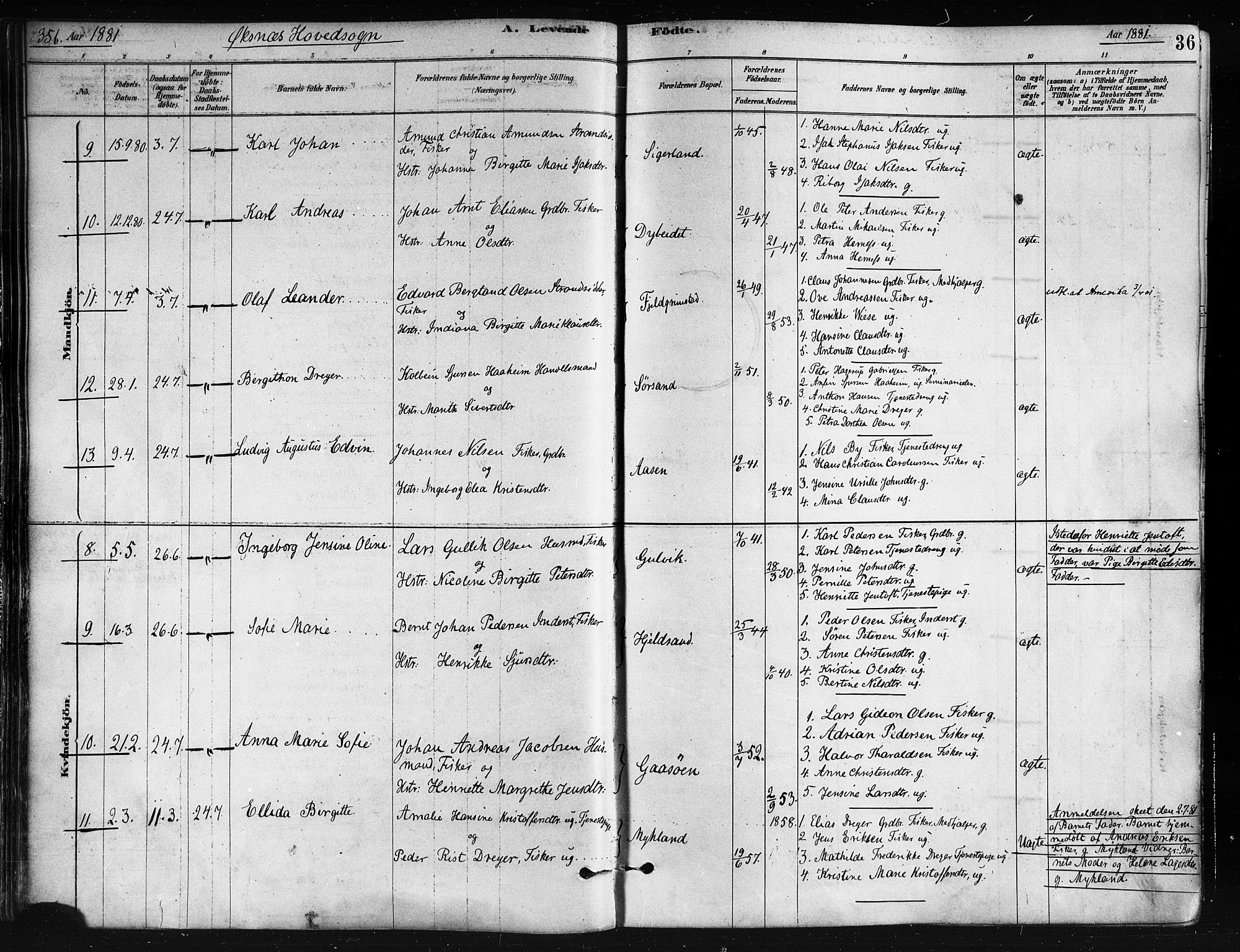 Ministerialprotokoller, klokkerbøker og fødselsregistre - Nordland, SAT/A-1459/893/L1335: Parish register (official) no. 893A08 /1, 1878-1884, p. 36