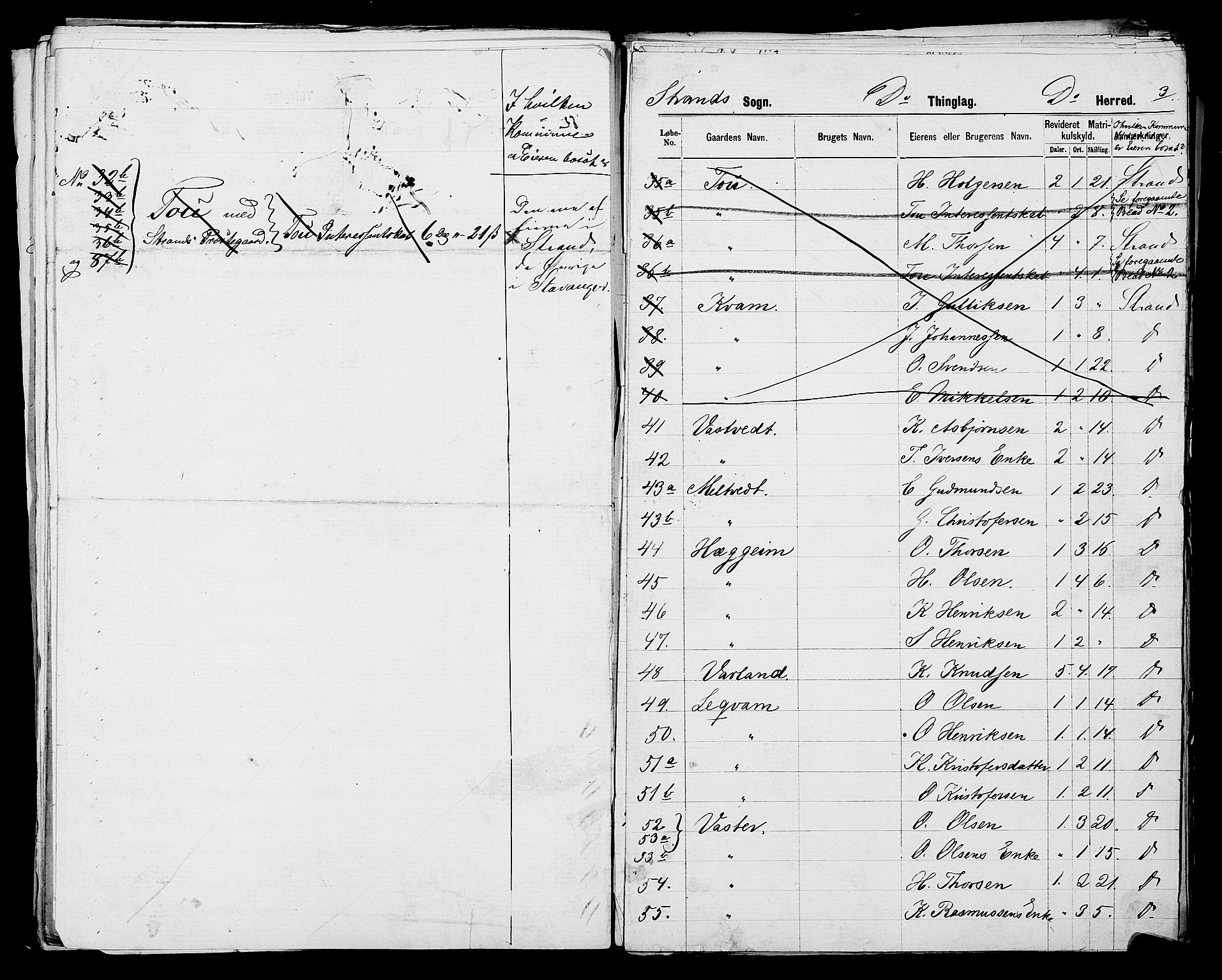 SAST, 1875 census for 1130P Strand, 1875, p. 25