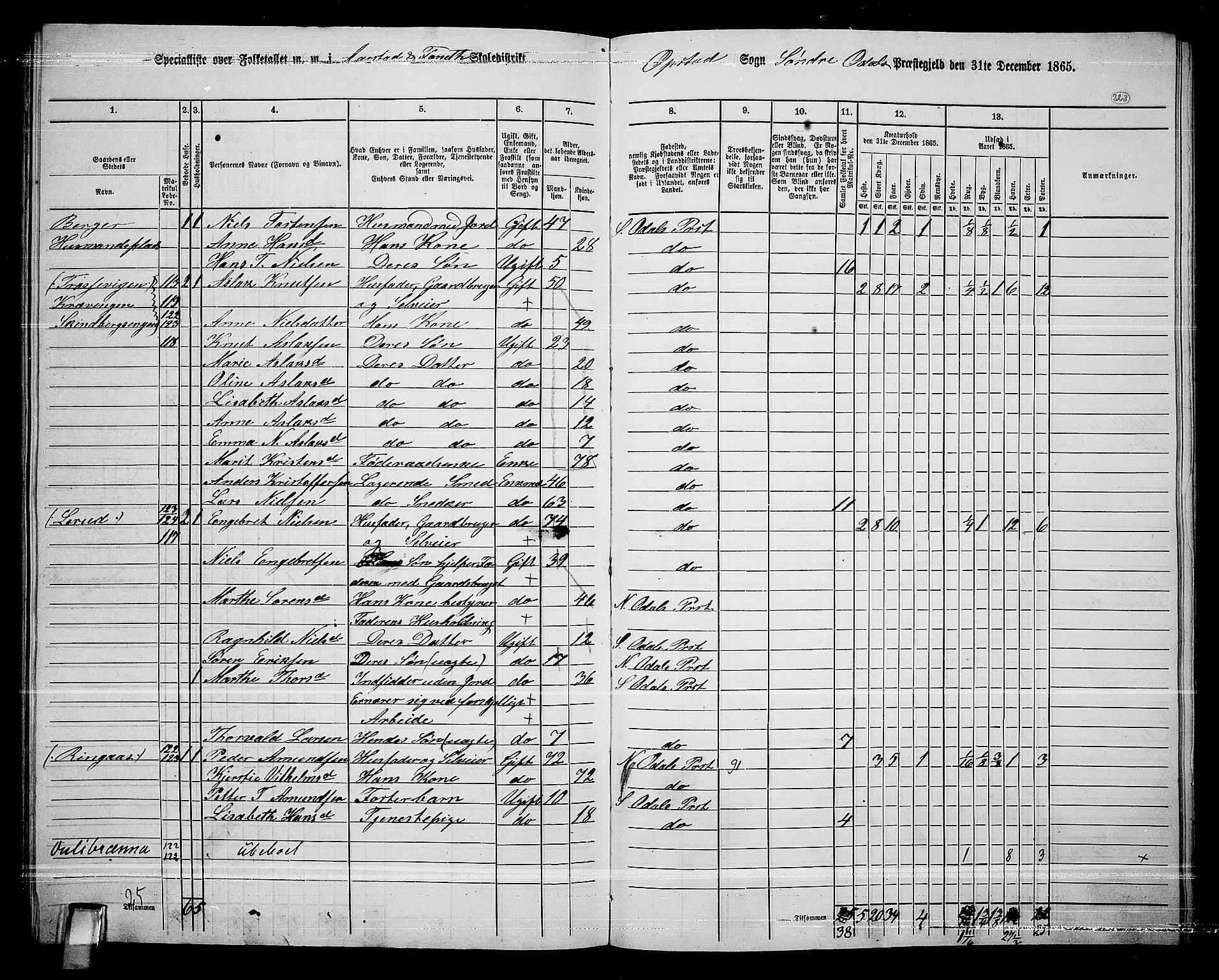 RA, 1865 census for Sør-Odal, 1865, p. 282