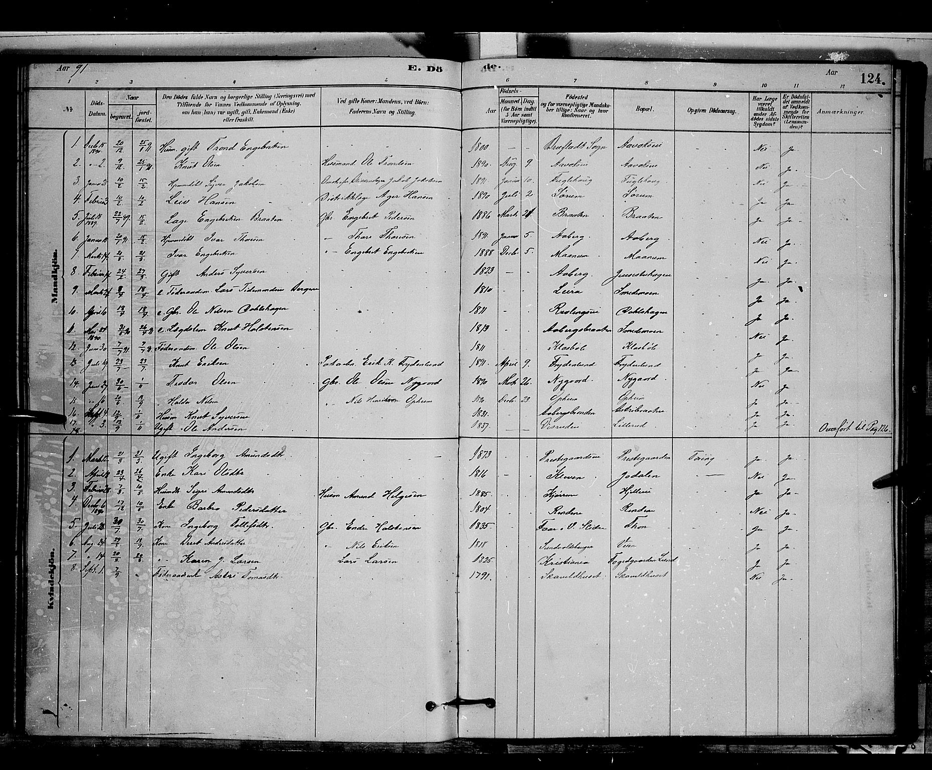 Nord-Aurdal prestekontor, SAH/PREST-132/H/Ha/Hab/L0006: Parish register (copy) no. 6, 1878-1892, p. 124