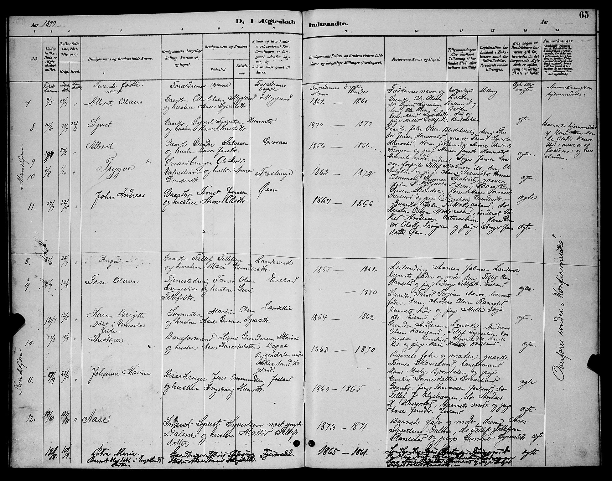 Evje sokneprestkontor, AV/SAK-1111-0008/F/Fb/Fbc/L0004: Parish register (copy) no. B 4, 1890-1900, p. 65