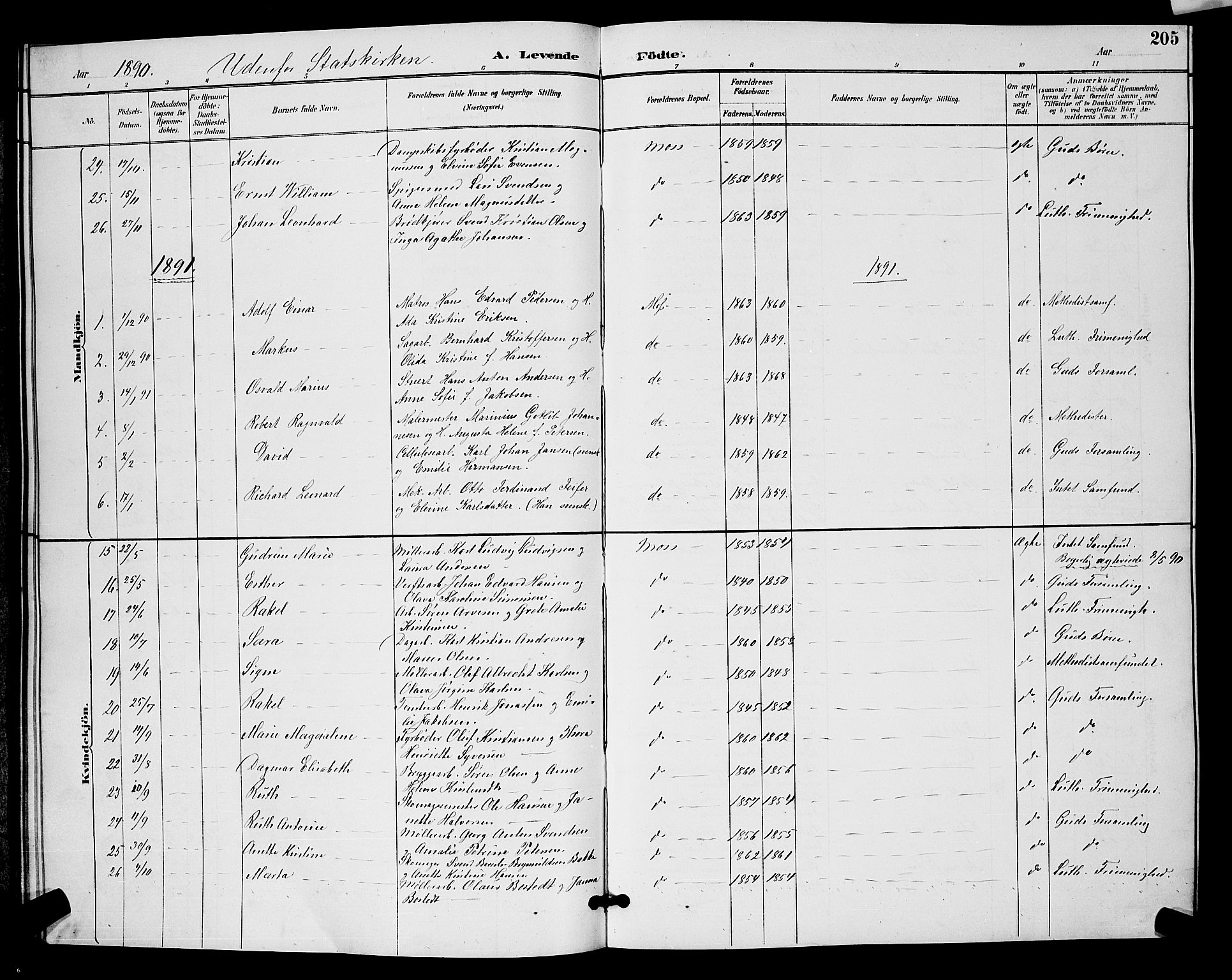 Moss prestekontor Kirkebøker, AV/SAO-A-2003/G/Ga/L0006: Parish register (copy) no. I 6, 1889-1900, p. 205