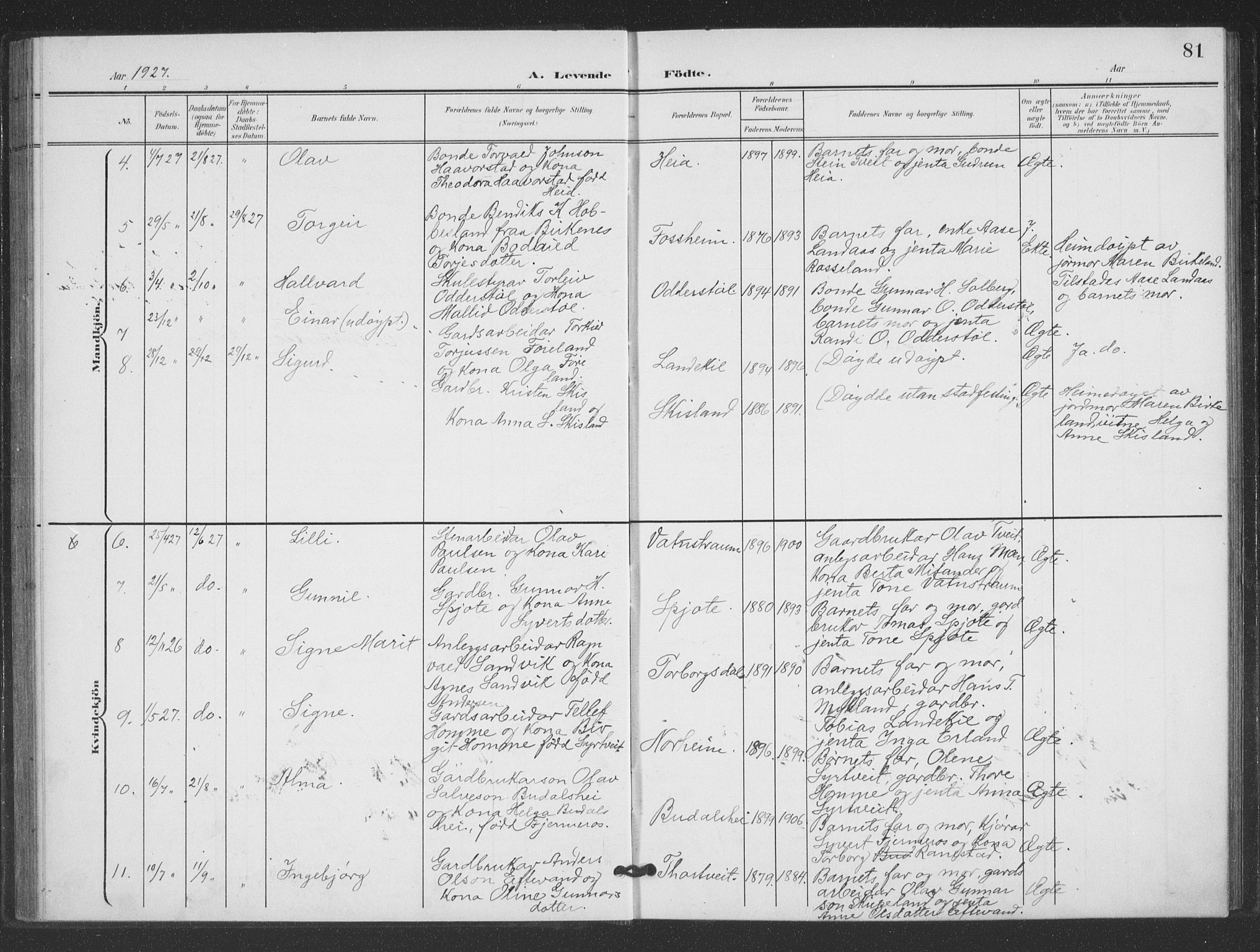 Evje sokneprestkontor, SAK/1111-0008/F/Fb/Fbc/L0005: Parish register (copy) no. B 5, 1901-1935, p. 81