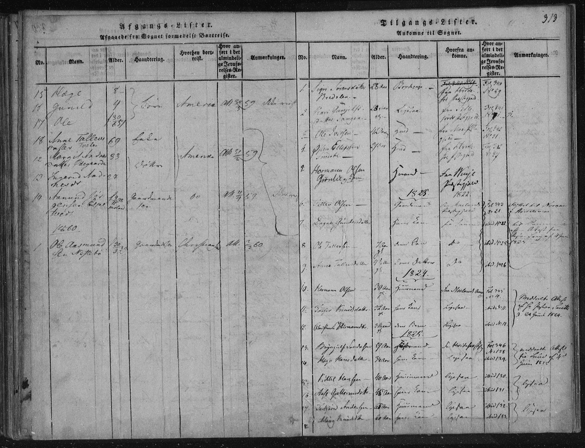 Lårdal kirkebøker, SAKO/A-284/F/Fc/L0001: Parish register (official) no. III 1, 1815-1860, p. 313