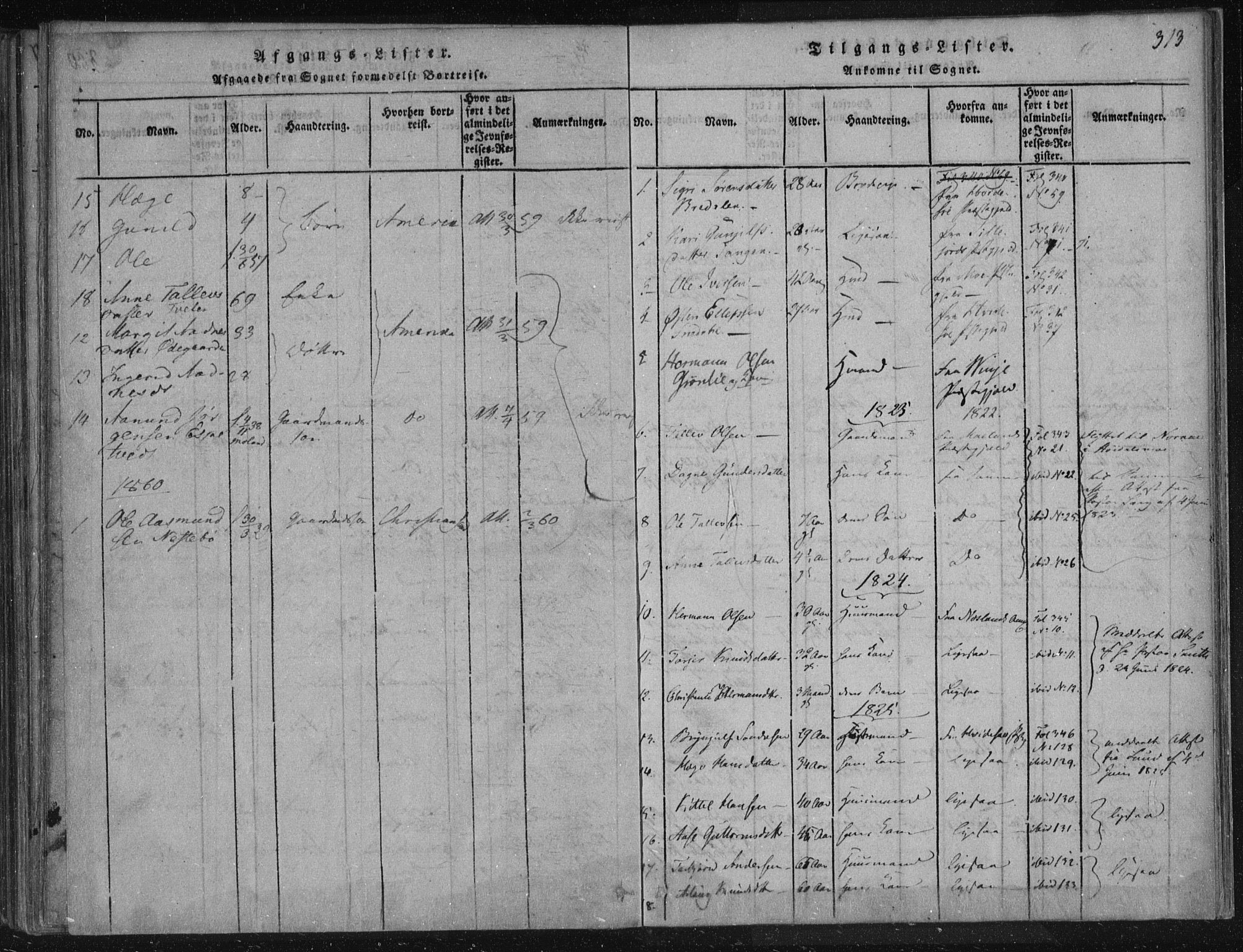 Lårdal kirkebøker, AV/SAKO-A-284/F/Fc/L0001: Parish register (official) no. III 1, 1815-1860, p. 313